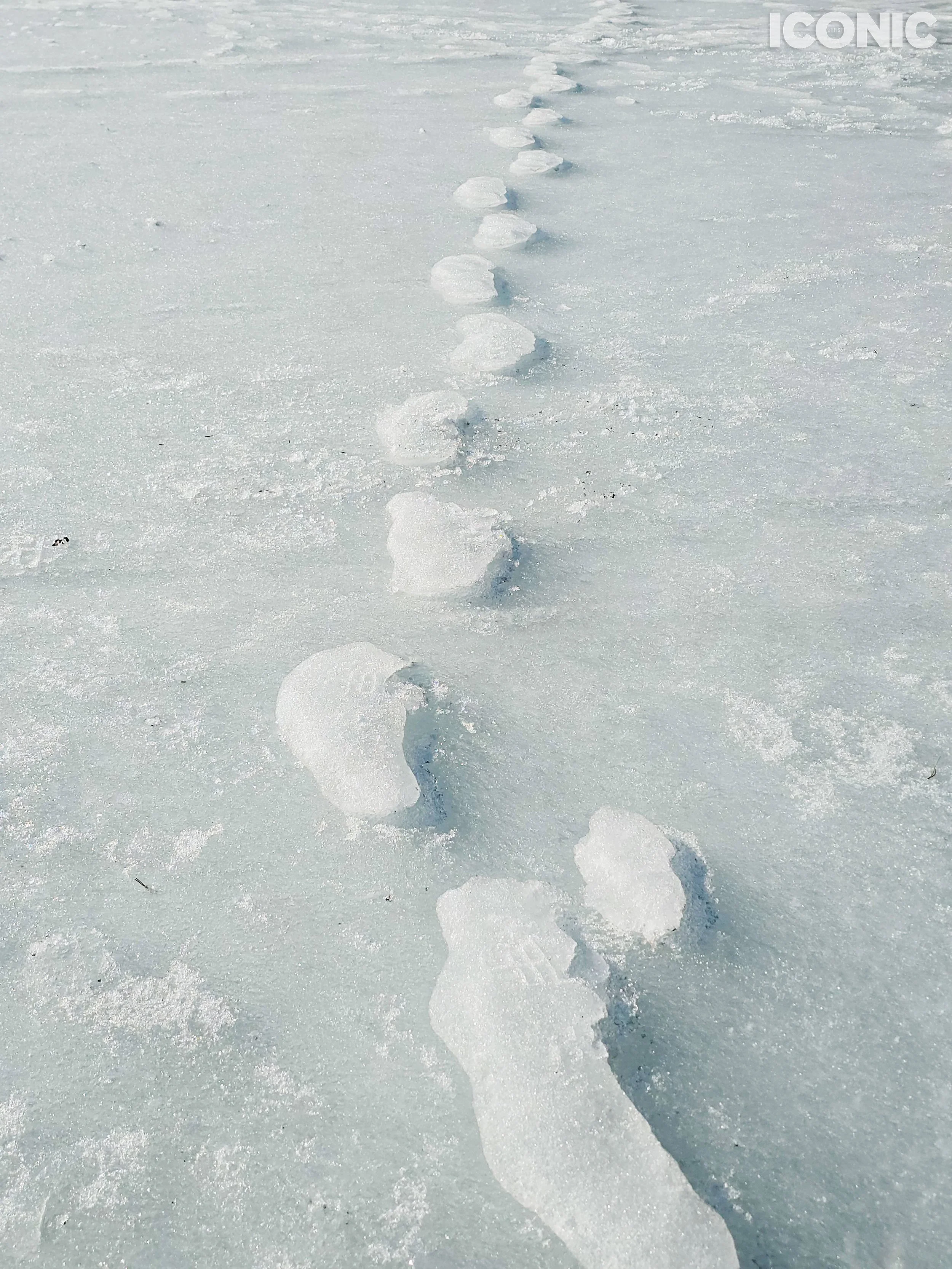 PHOTO BY
Olga Shishuk
.