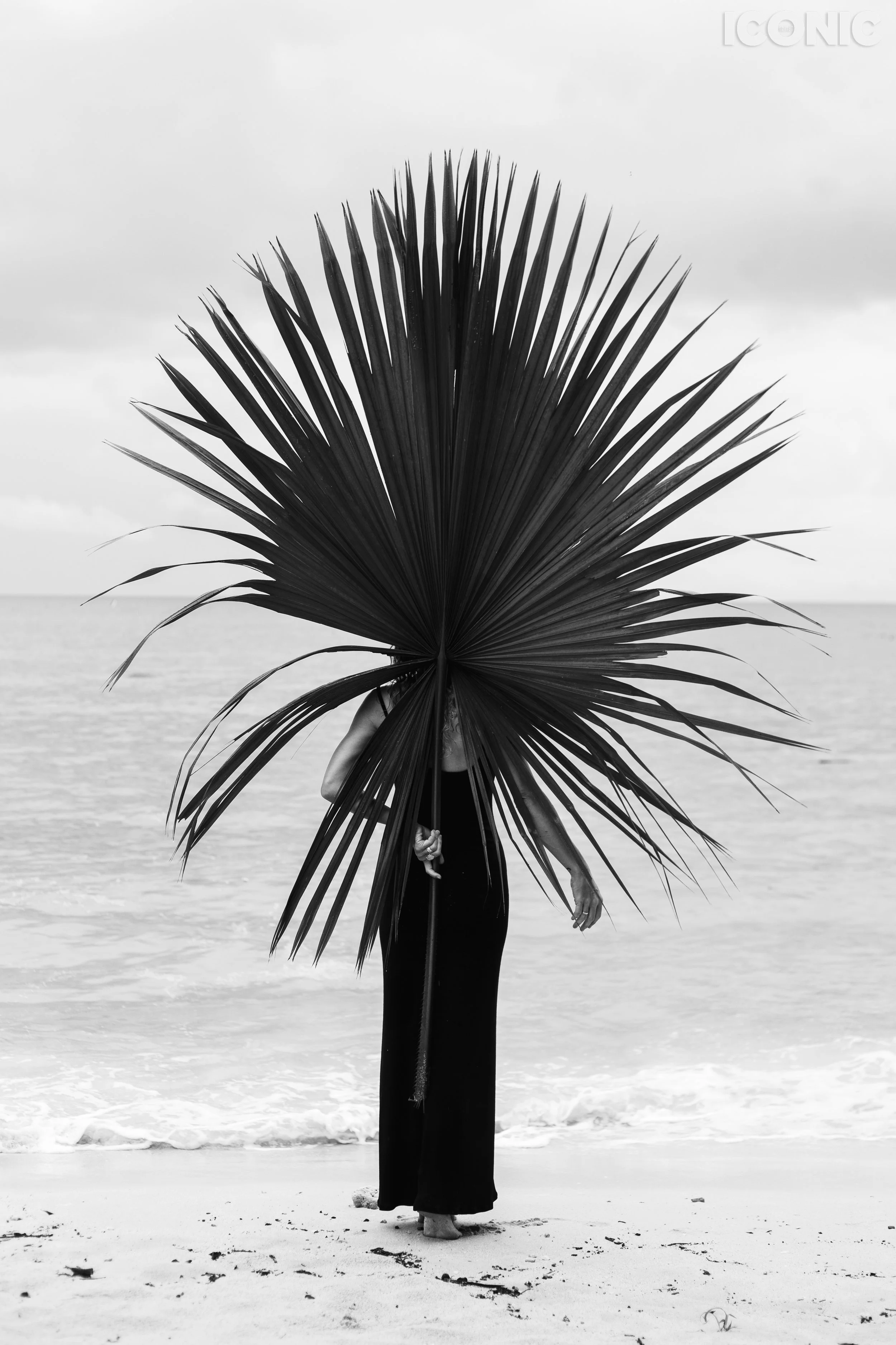 PHOTO BY
Ann Kolisnyk
.