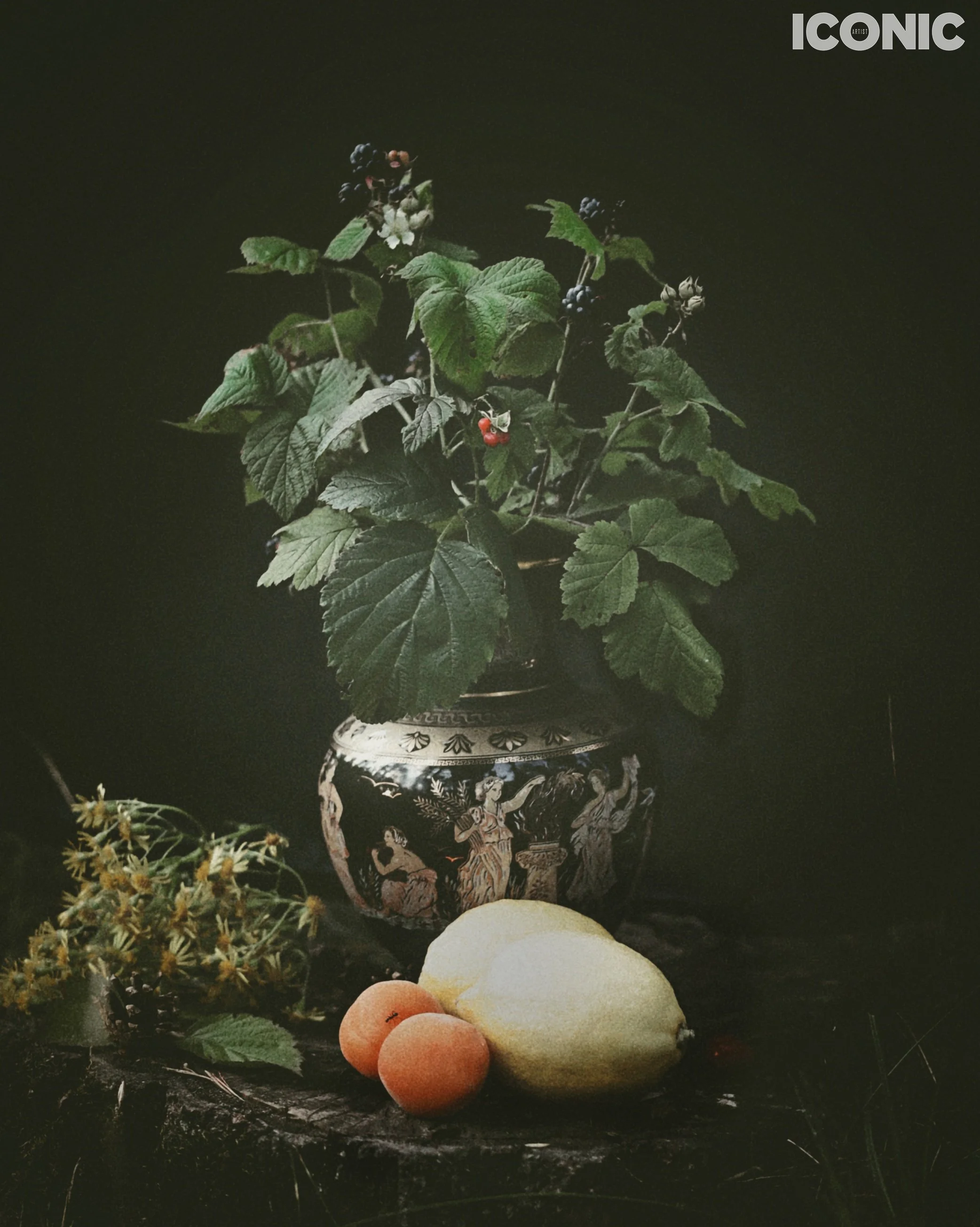 PHOTO BY
Tanya Yerko
.