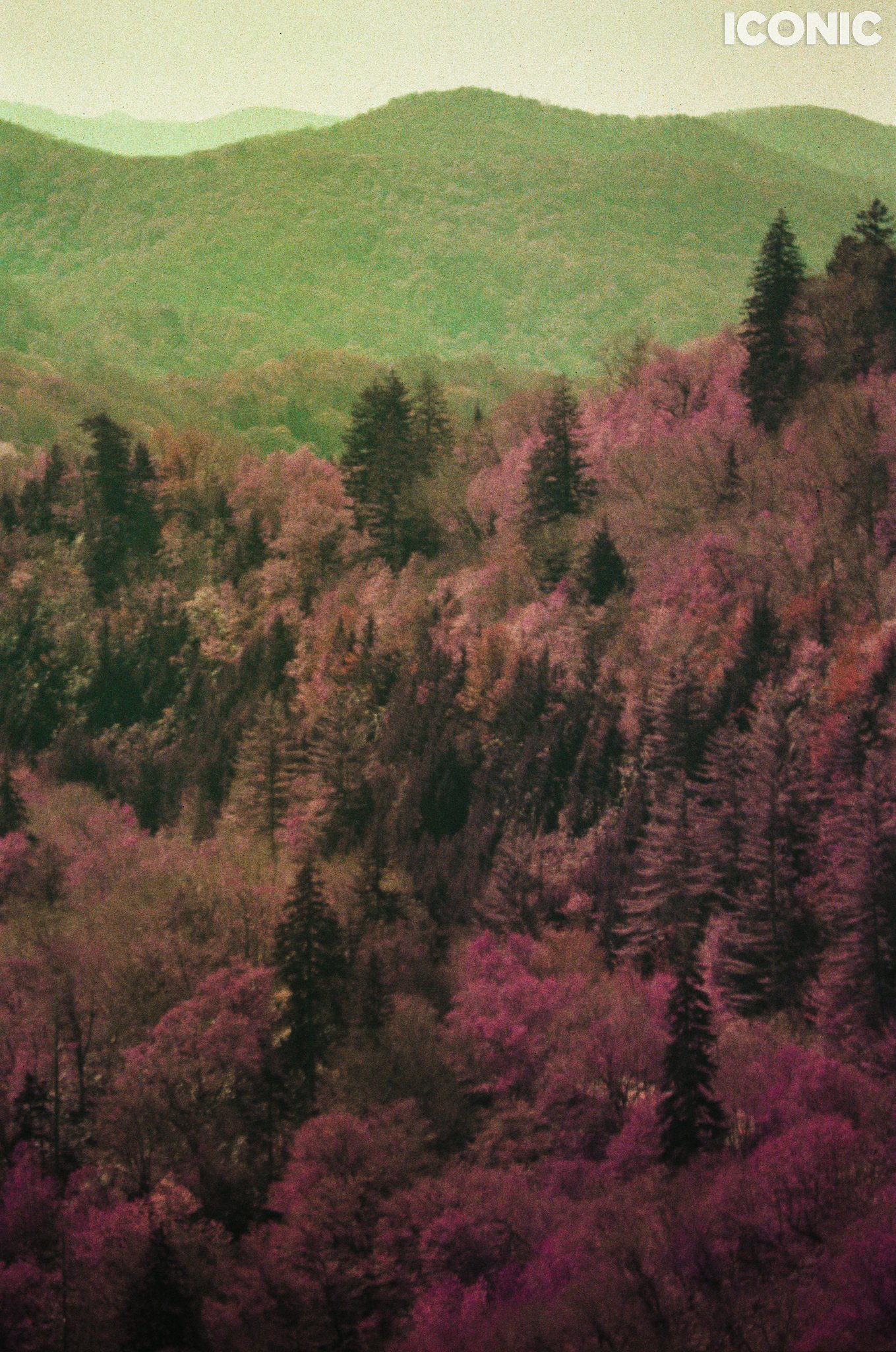 PHOTO BY
Anna Leonidov
.