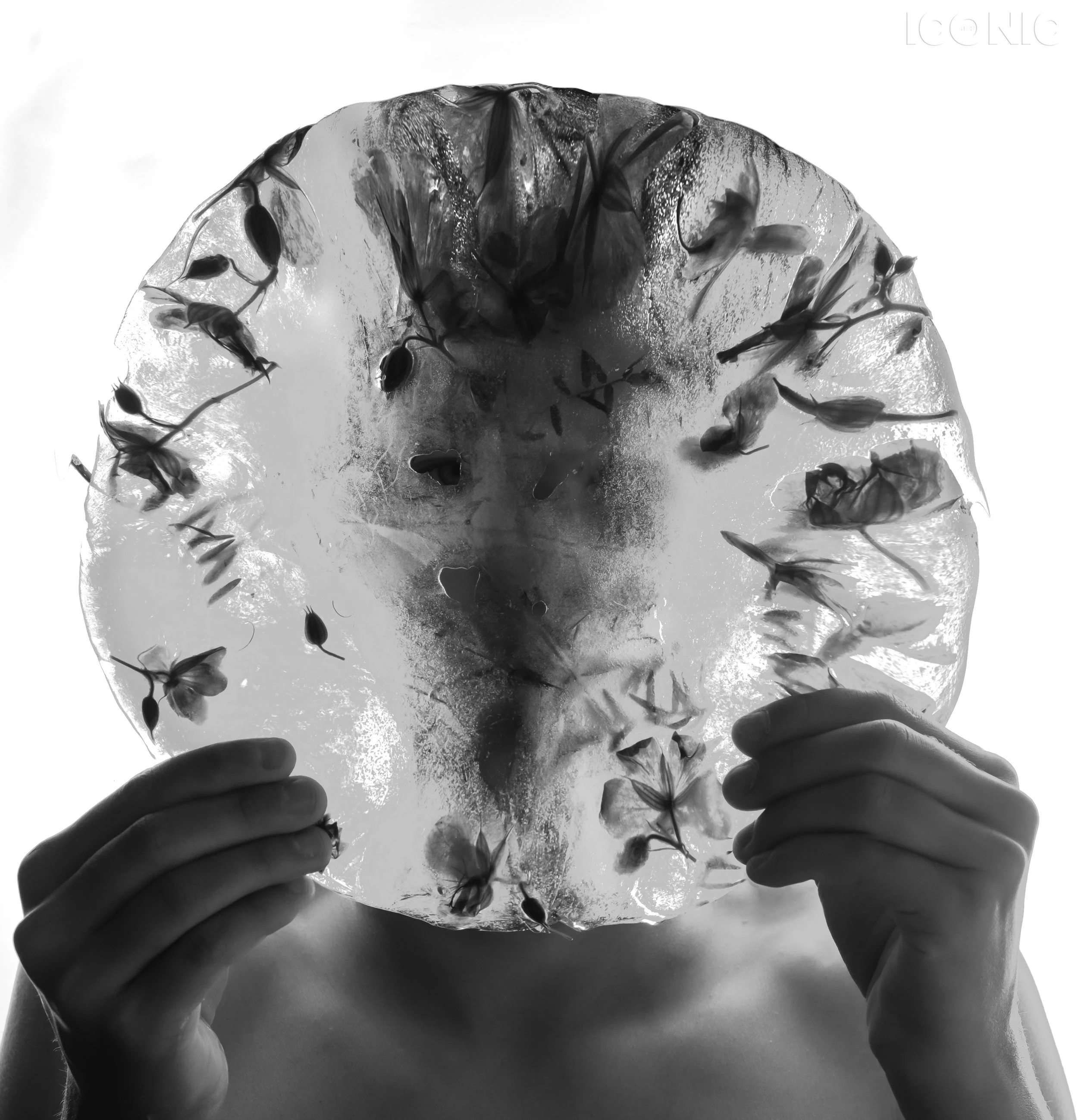 PHOTO BY
Marina Cherepanova
.