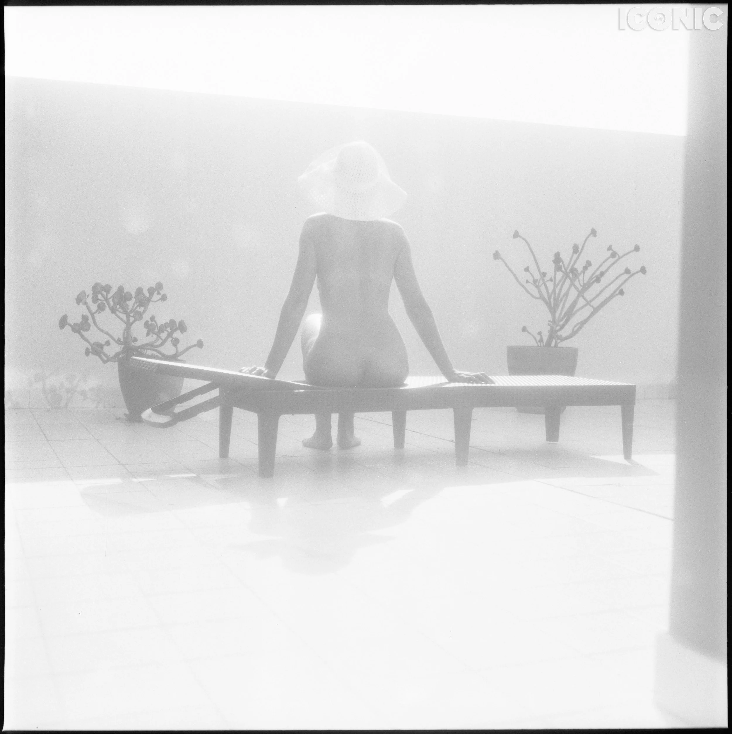 PHOTO BY
Pablo Fanque
.