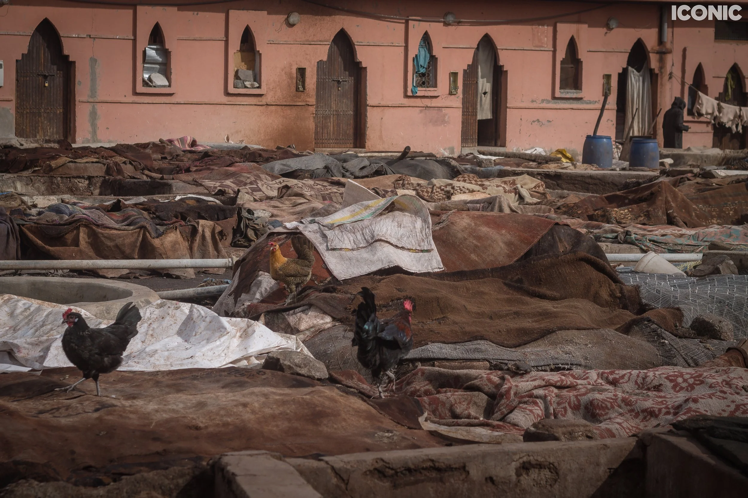 PHOTO BY
Rita Piludu
.