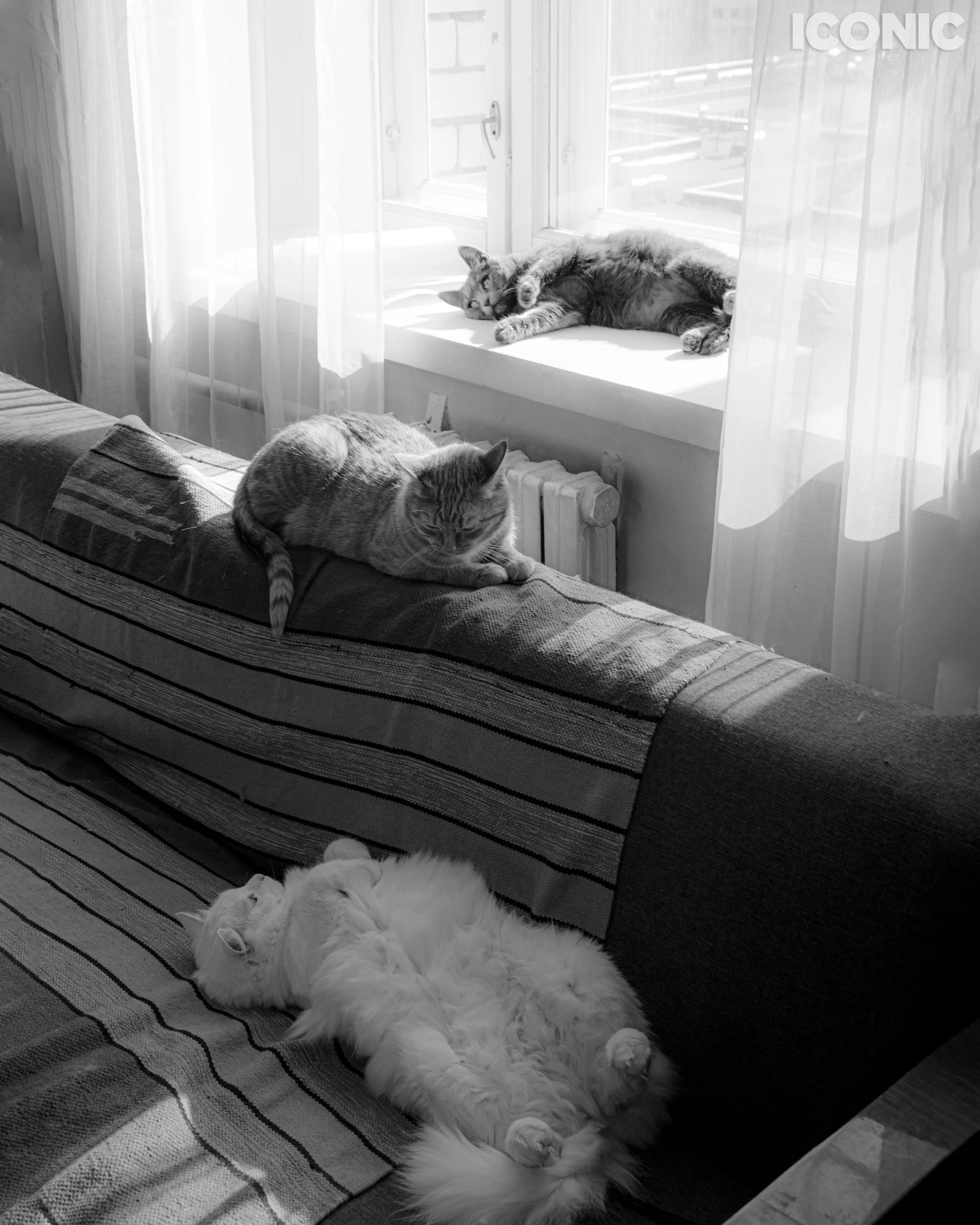 PHOTO BY
Natalya Marasinskaya
.