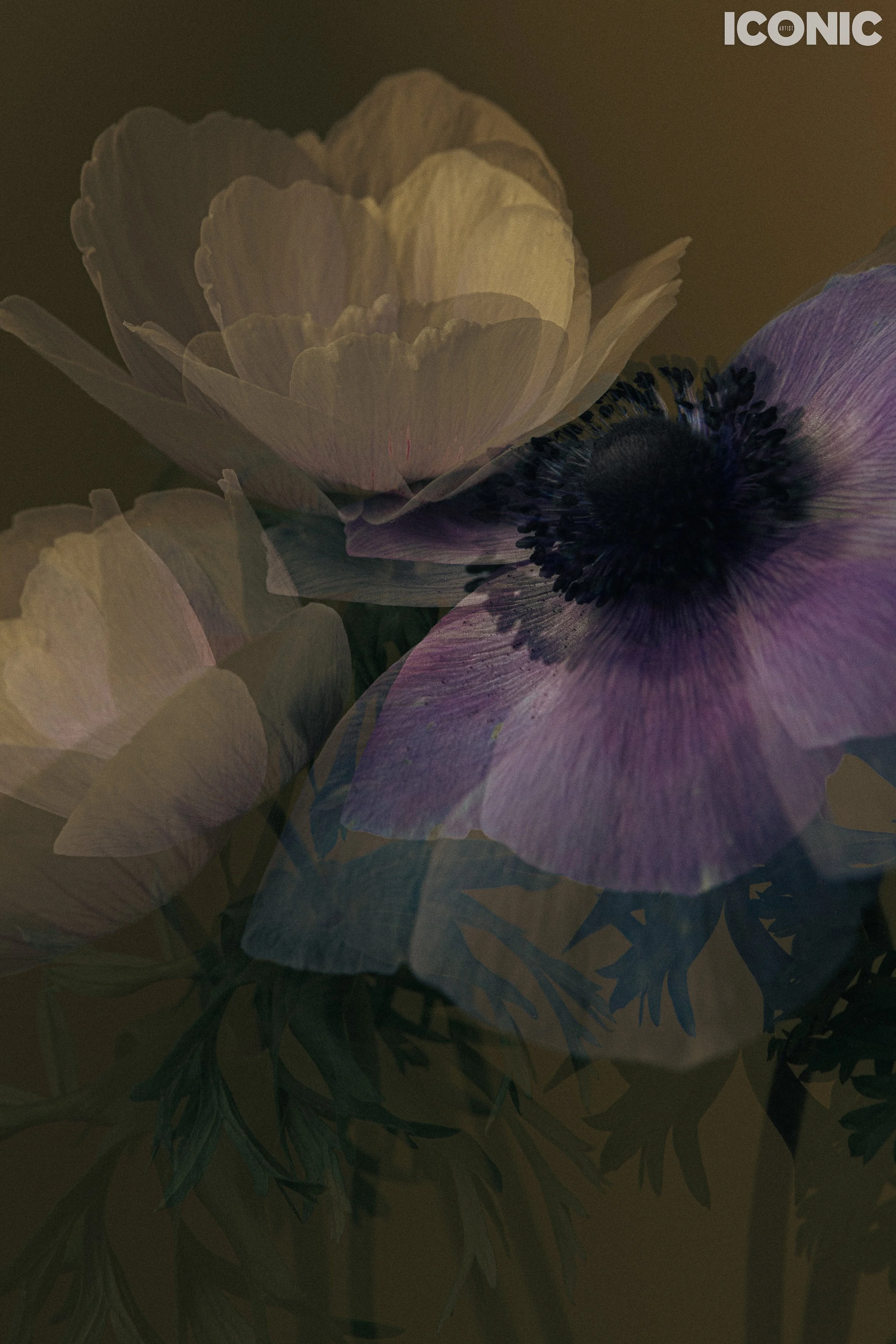 PHOTO BY
Federica Bizzarri
.