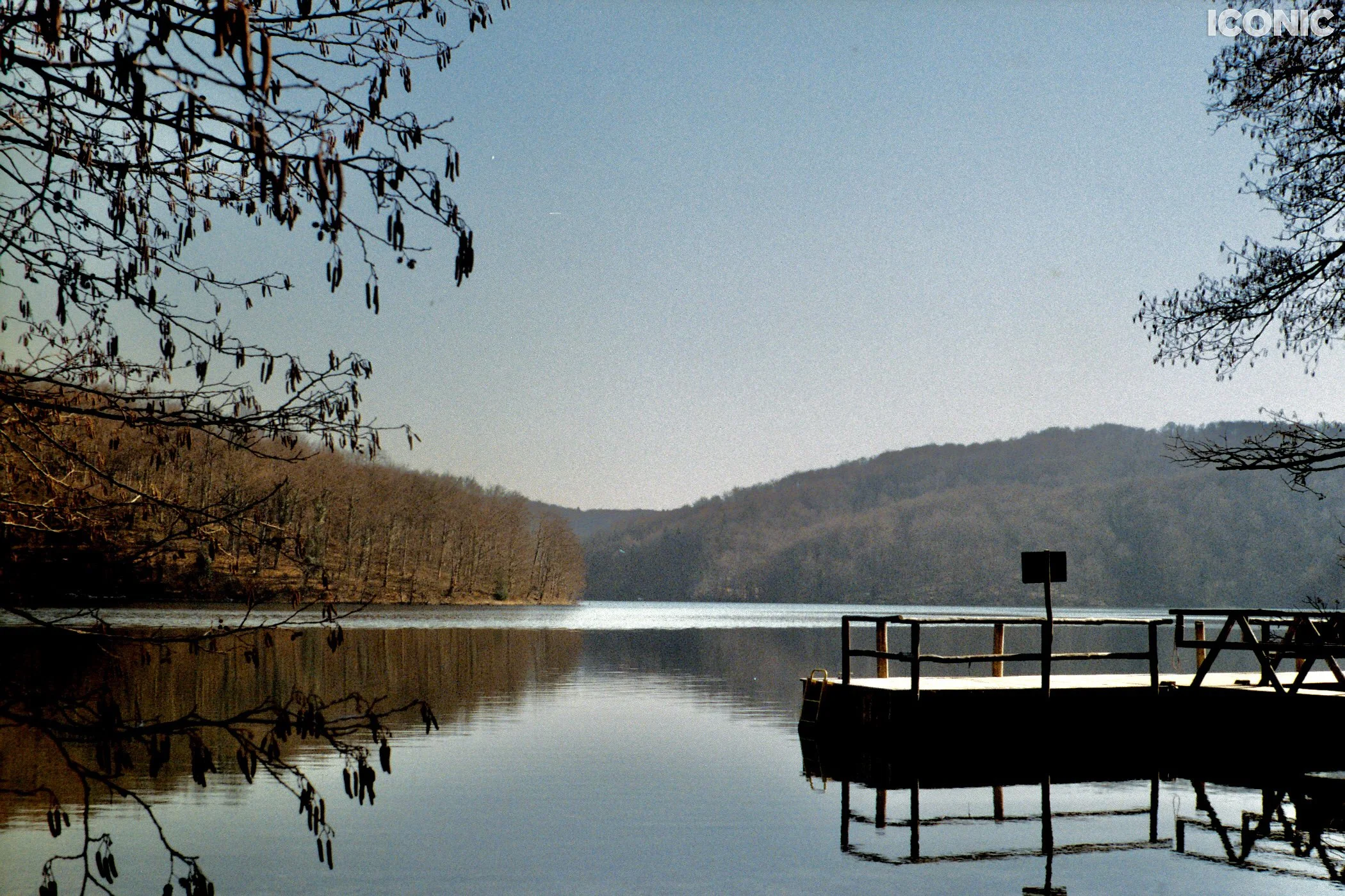 PHOTO BY
Natali Horvat
.