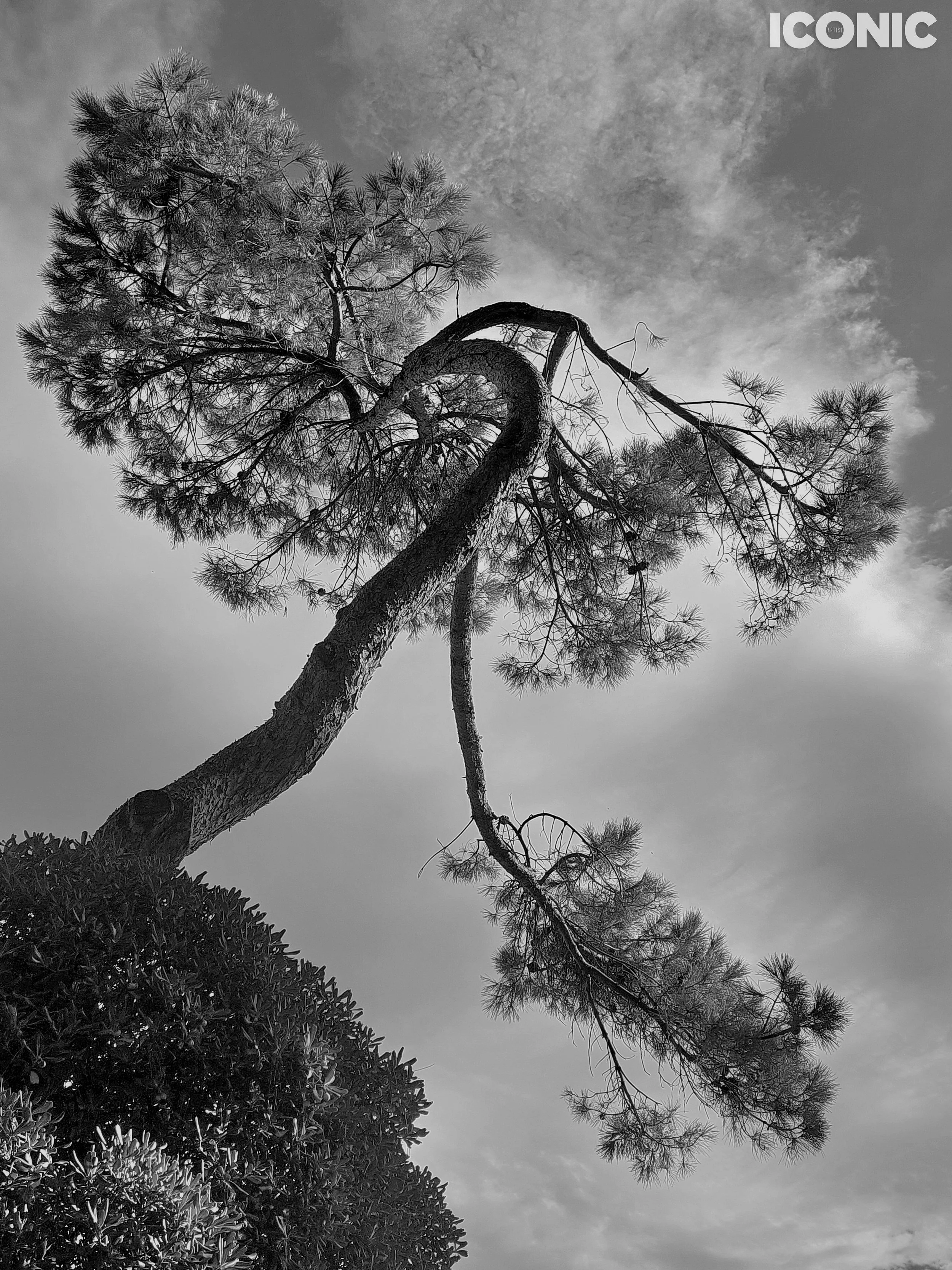 PHOTO BY
Annamaria Pinciotti
.