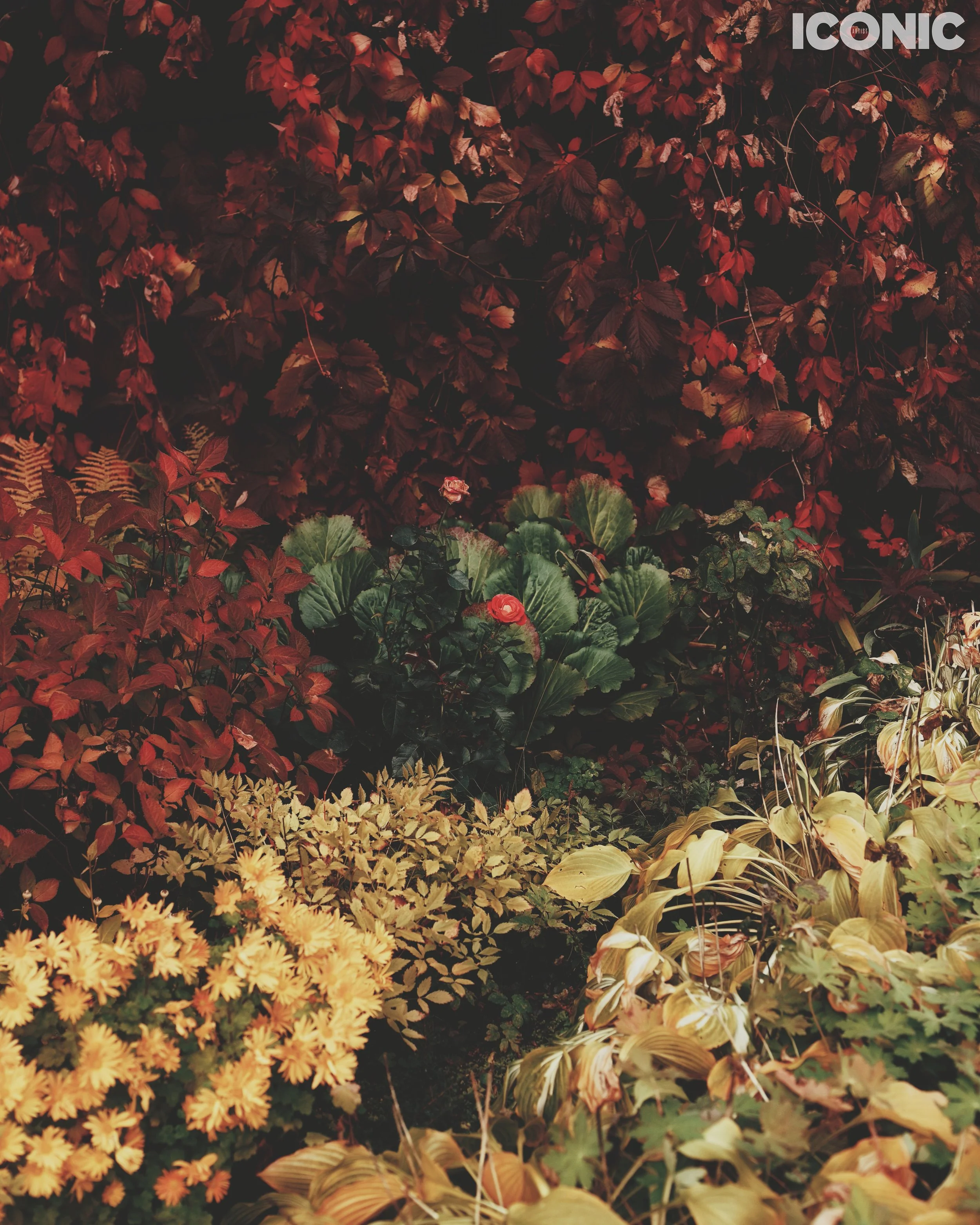 PHOTO BY
Anna Faustova
.