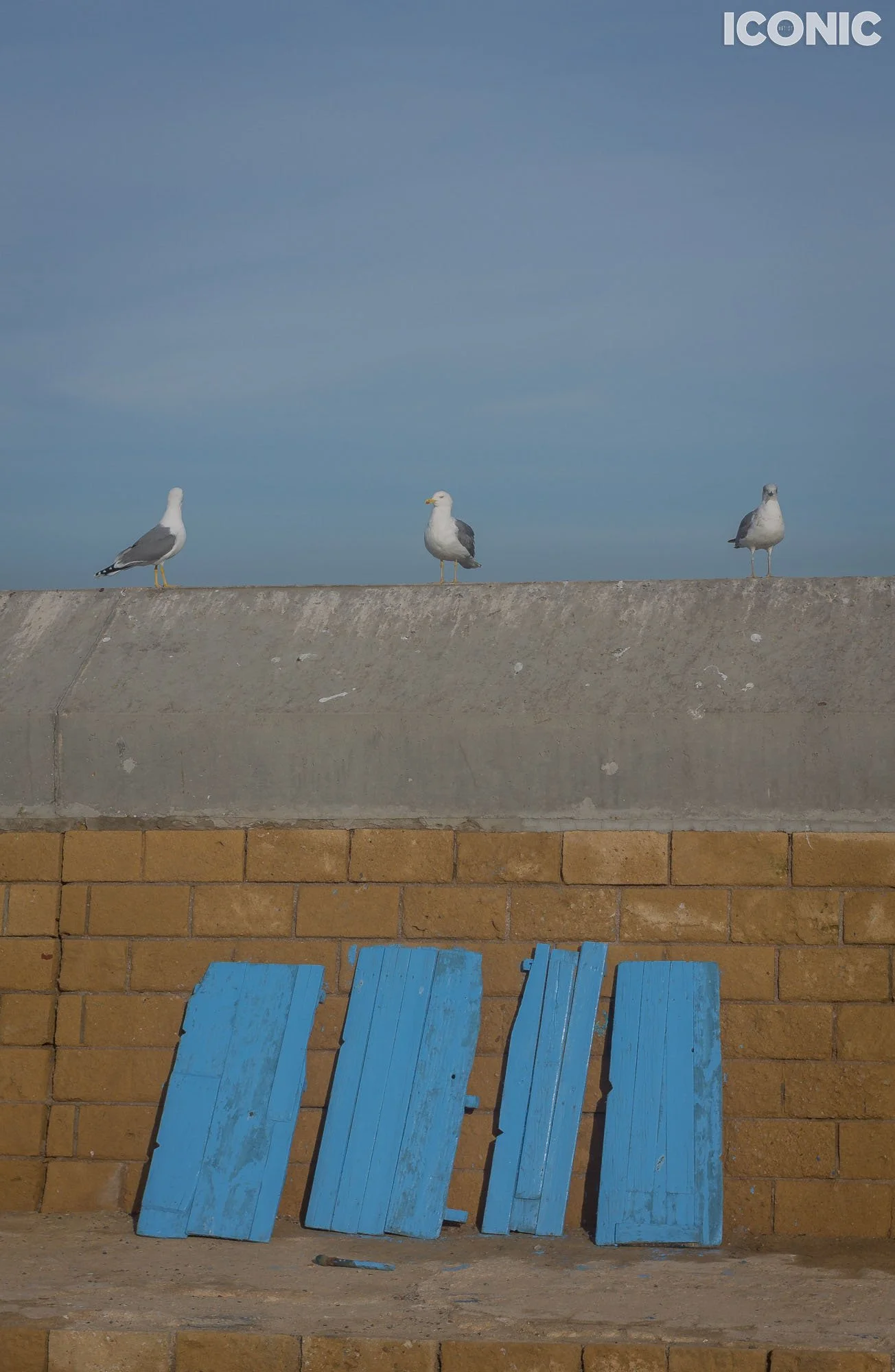 PHOTO BY
Rita Piludu
.