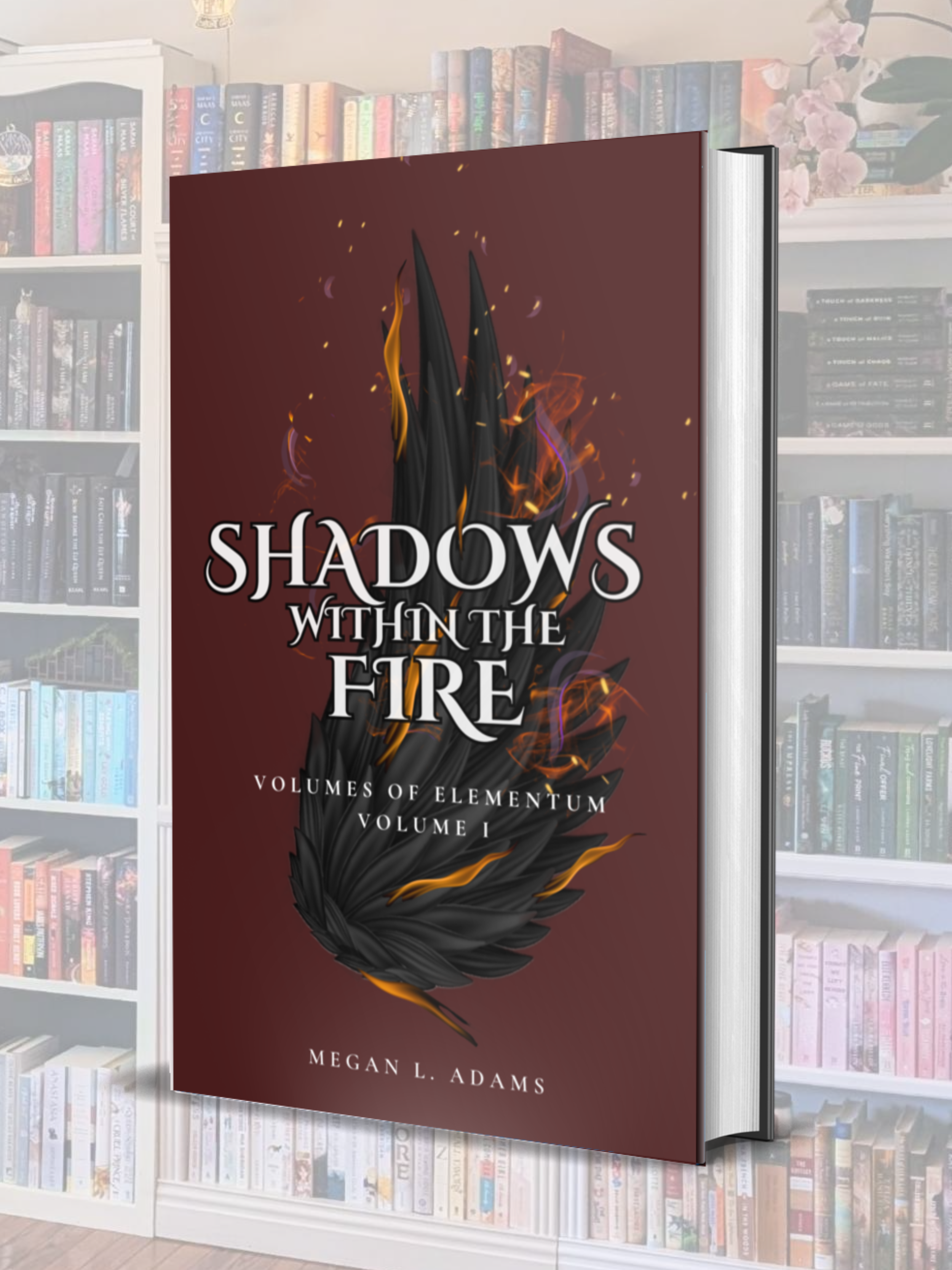 Shadows Within the Fire