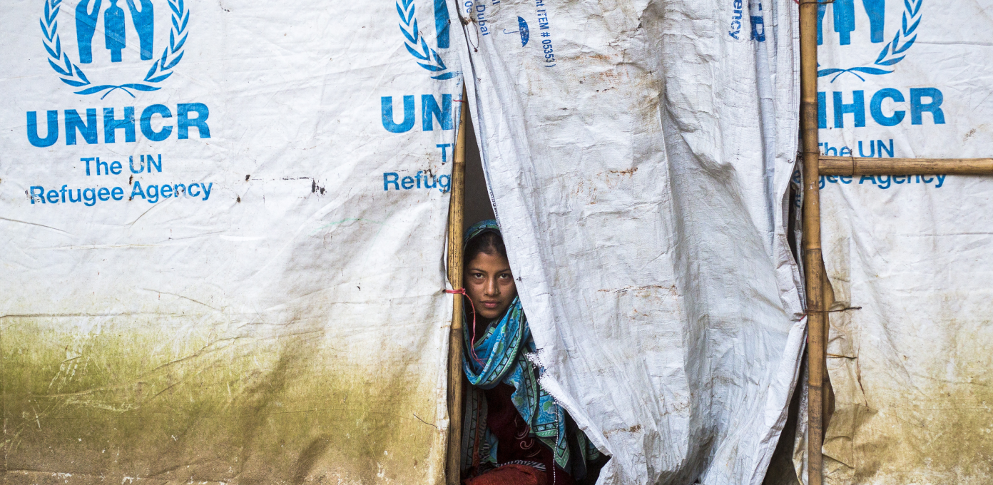 UNHCR : Refworld