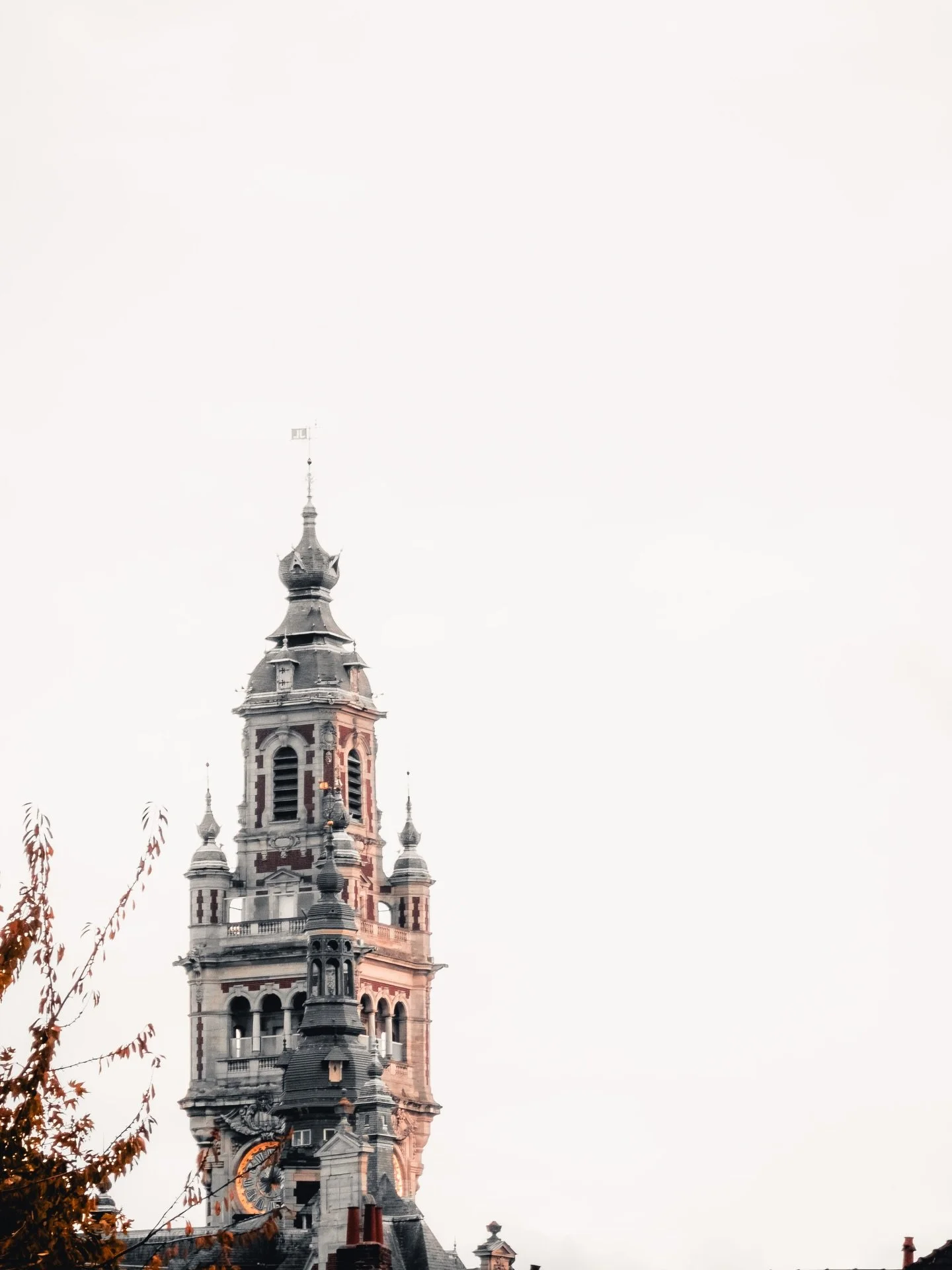 Went to Lille. It was very pretty. Can recommend. Although if I go again it will be in spring or summer. I&rsquo;m not made for the cold. But I did get to pop into the zoo.