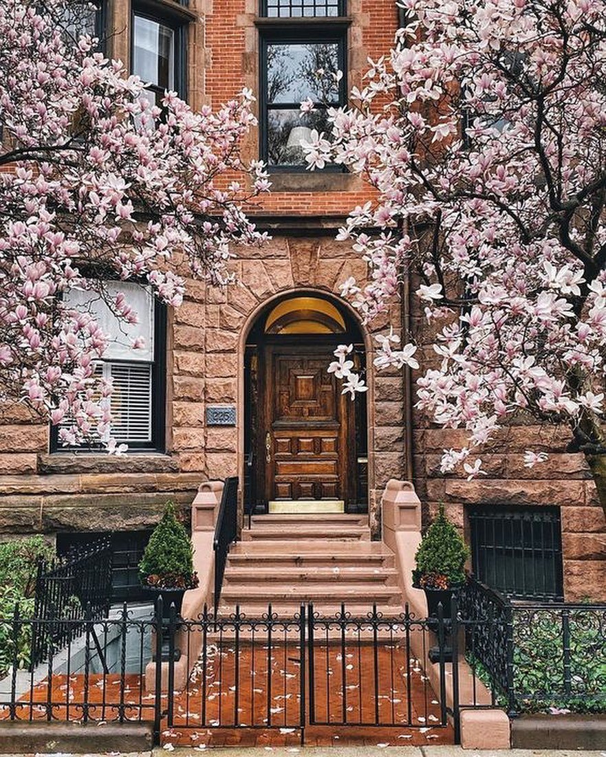 Spring time in Boston! 🌸 the flowers highlight the architectural beauty even more ✨
.
.
.
.
#architect #petlovers #boston #construction #build