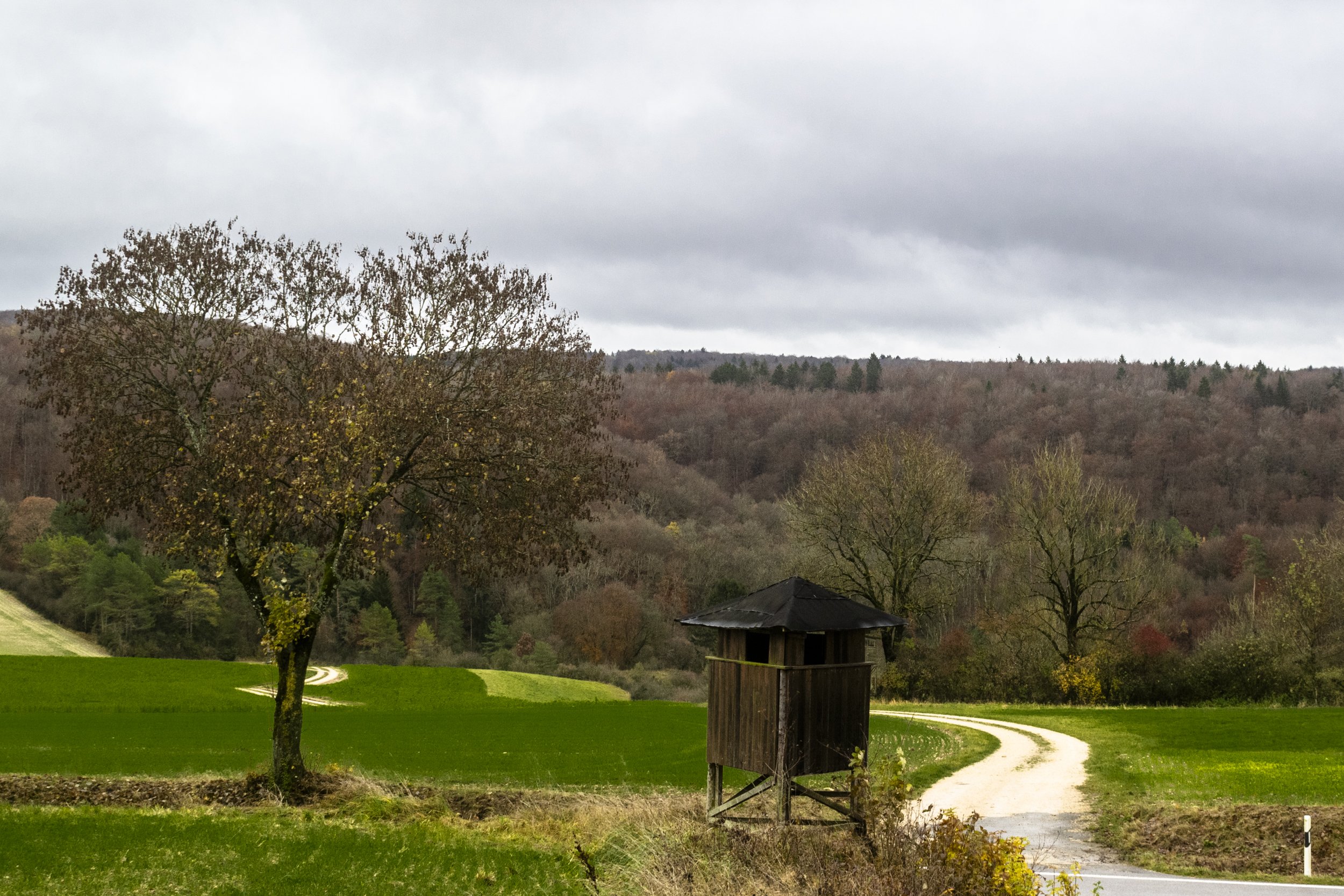 Vogelhof_Magic_02_24.jpg