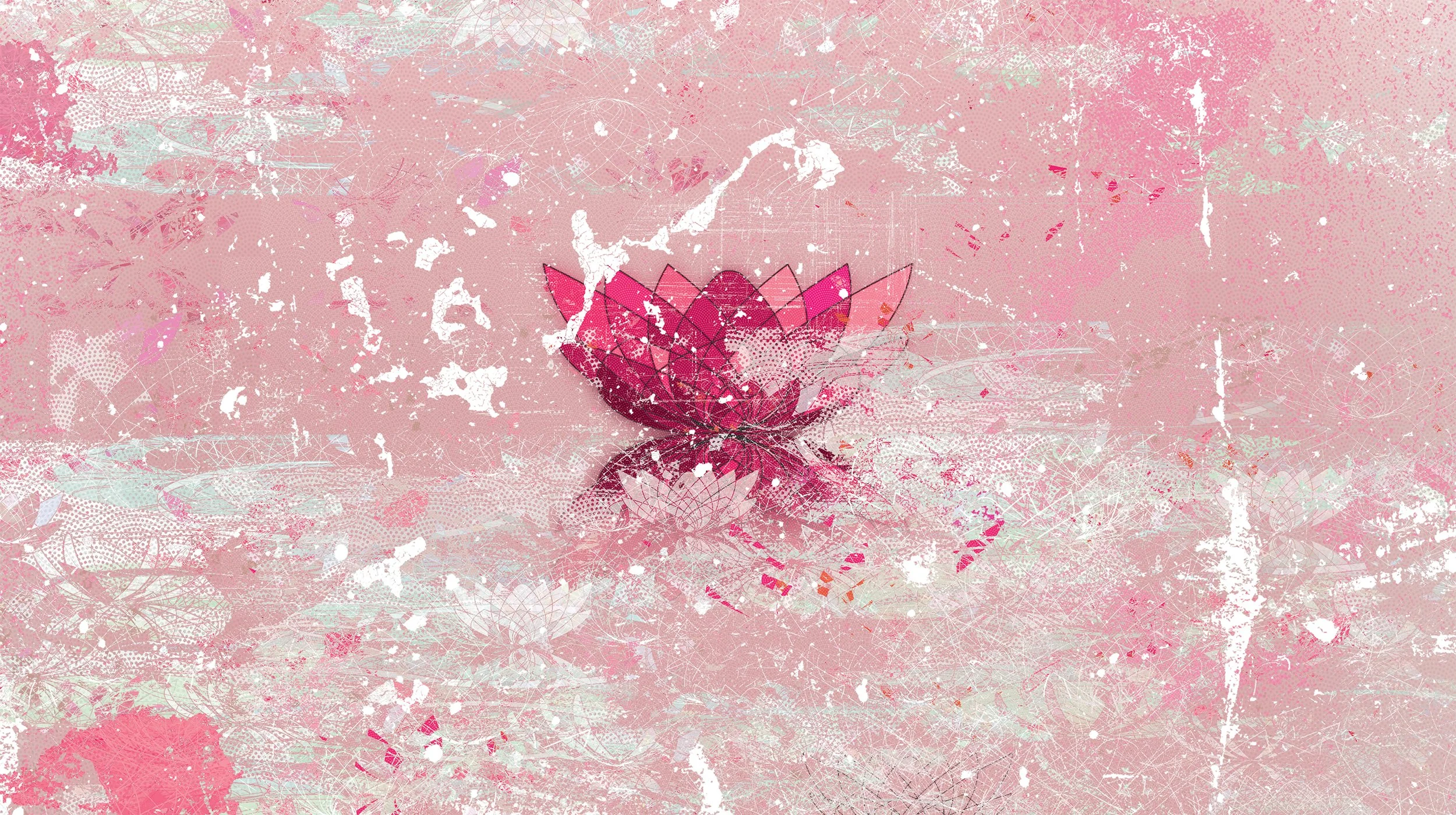 Water Lilies