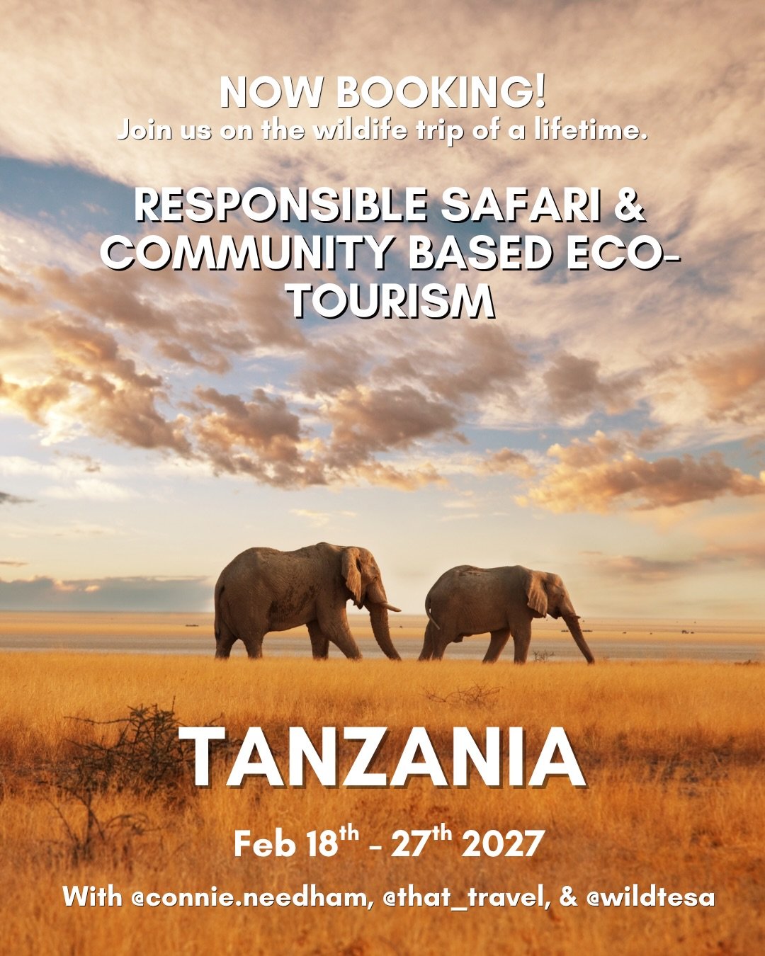 So, what do you think&hellip; Will you be joining us in Tanzania? 😍

We have put our all into making this trip as memorable and, of course, ethical as we can and all we need now is to fill our final THREE spots!! 

If you&rsquo;re interested, commen