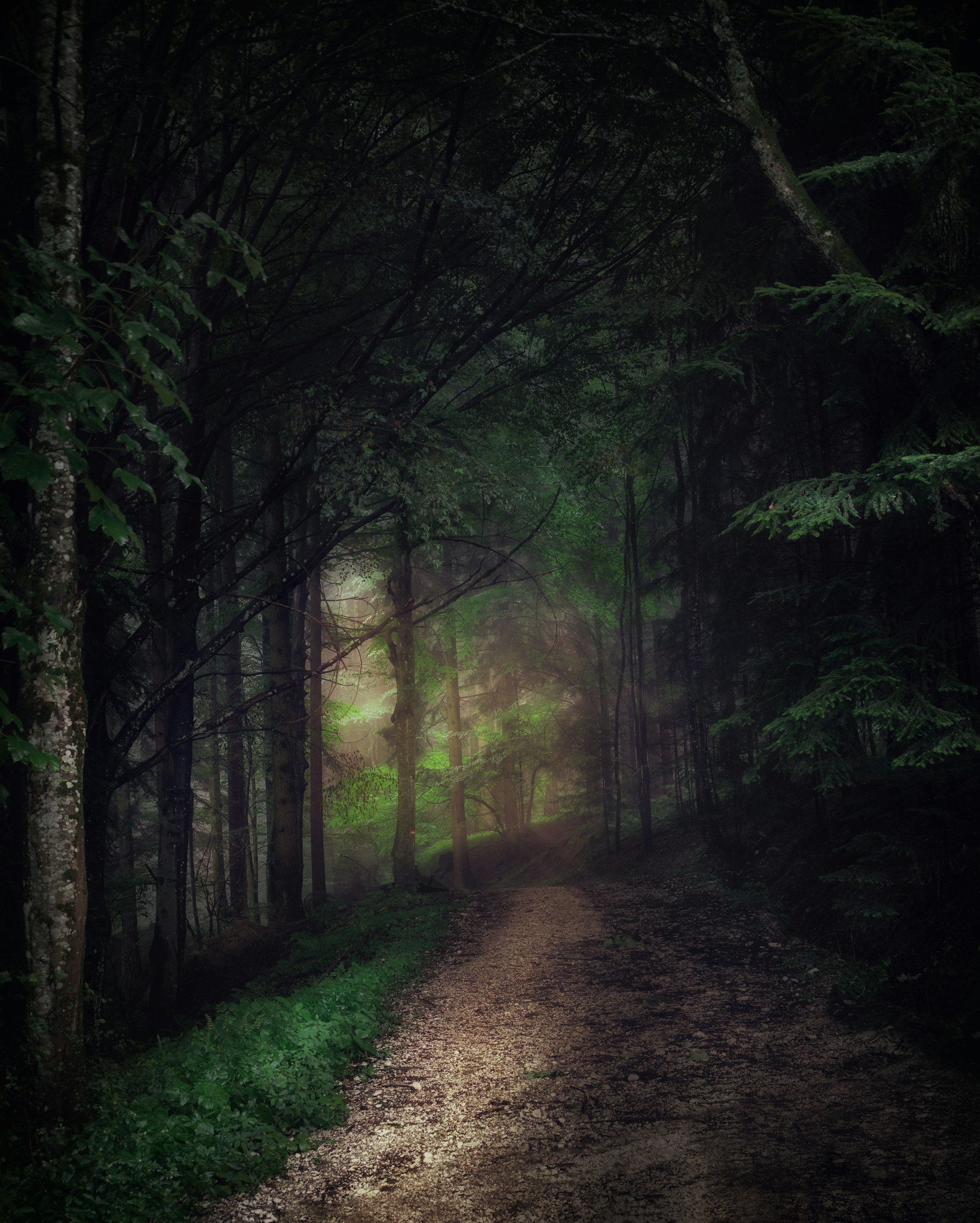 Hansel & Gretel and the Spark of Creativity