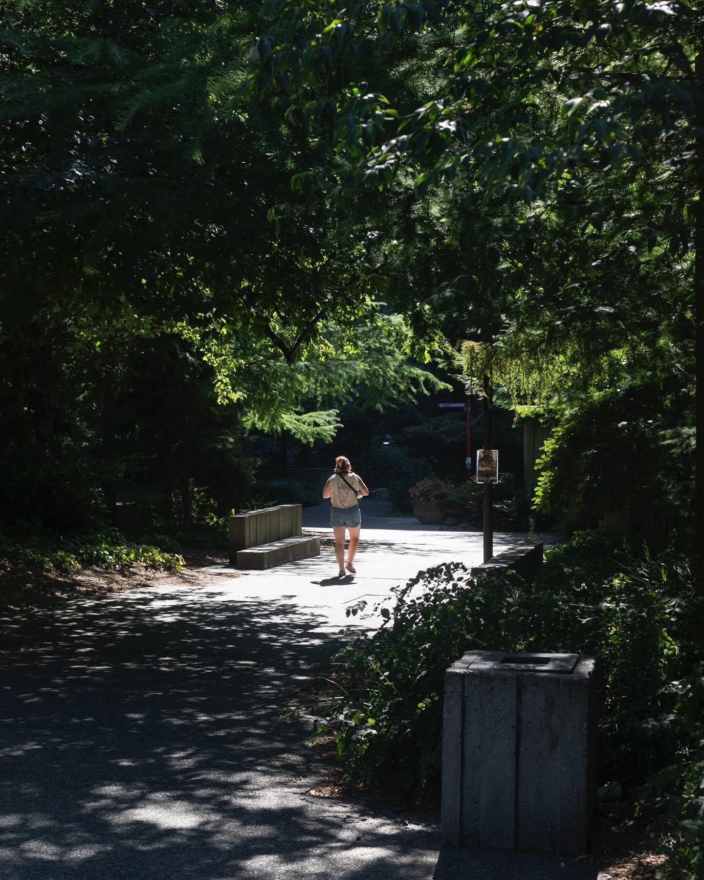 It&rsquo;s a beautiful day for a stroll in the park! ☀️ Come visit us in Seneca Plaza for Book Carts and Buskers and Free lunches - 12-2pm - Tuesdays and Thursdays in May. 📸 @panicolori  #freewayparkseattle #loveparks