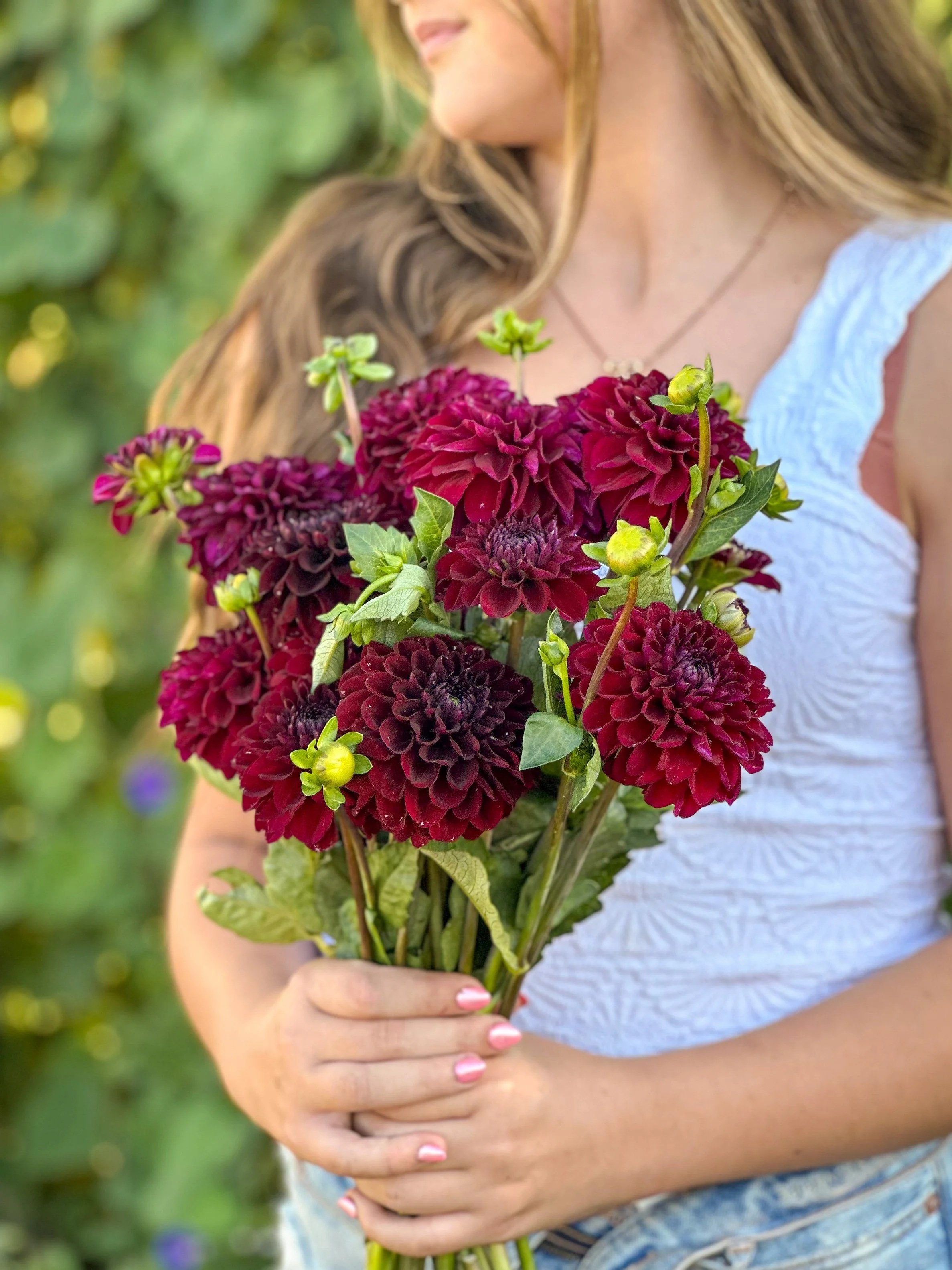 Dahlia Tuber: Lights Out