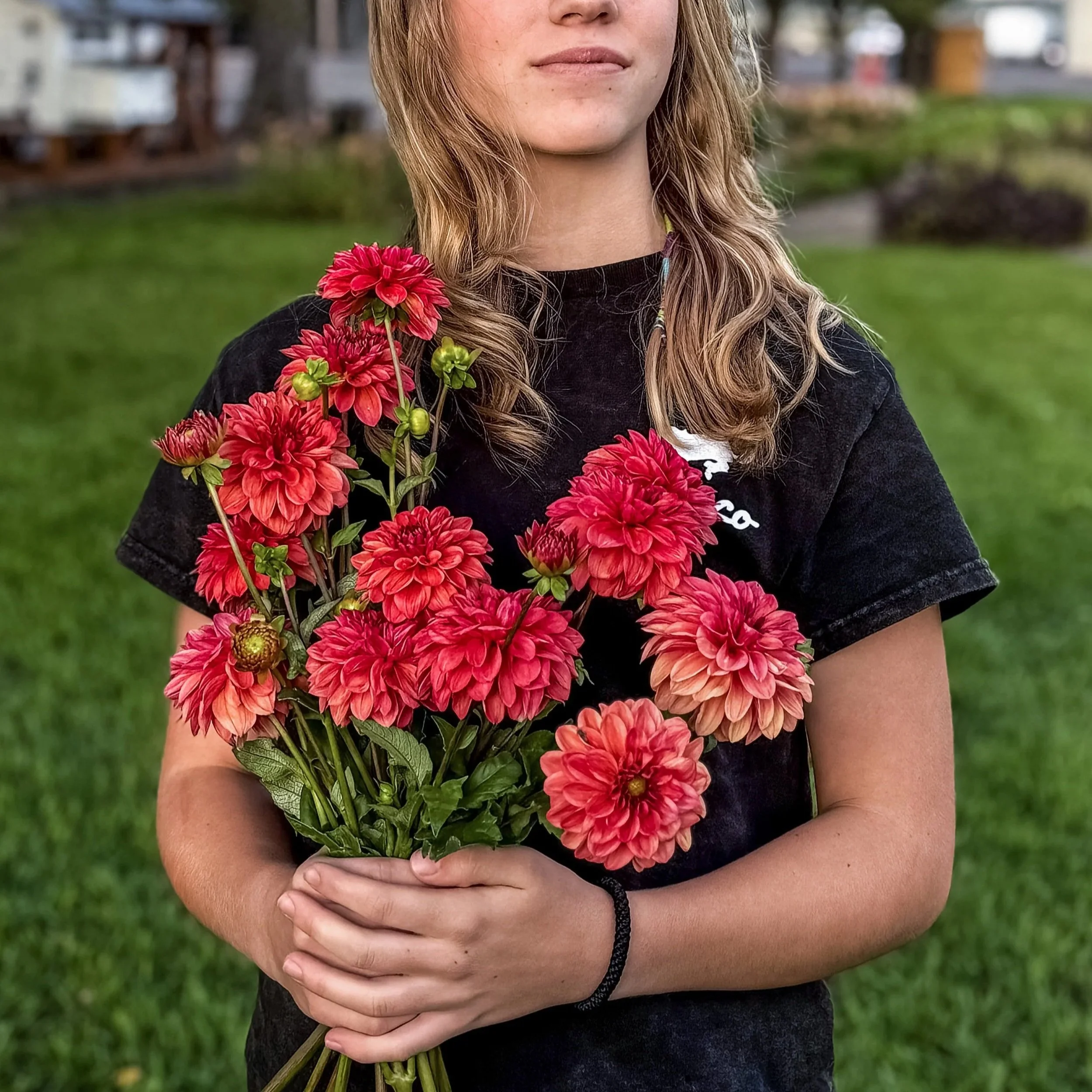 Dahlia Tuber: KA's Blood Orange