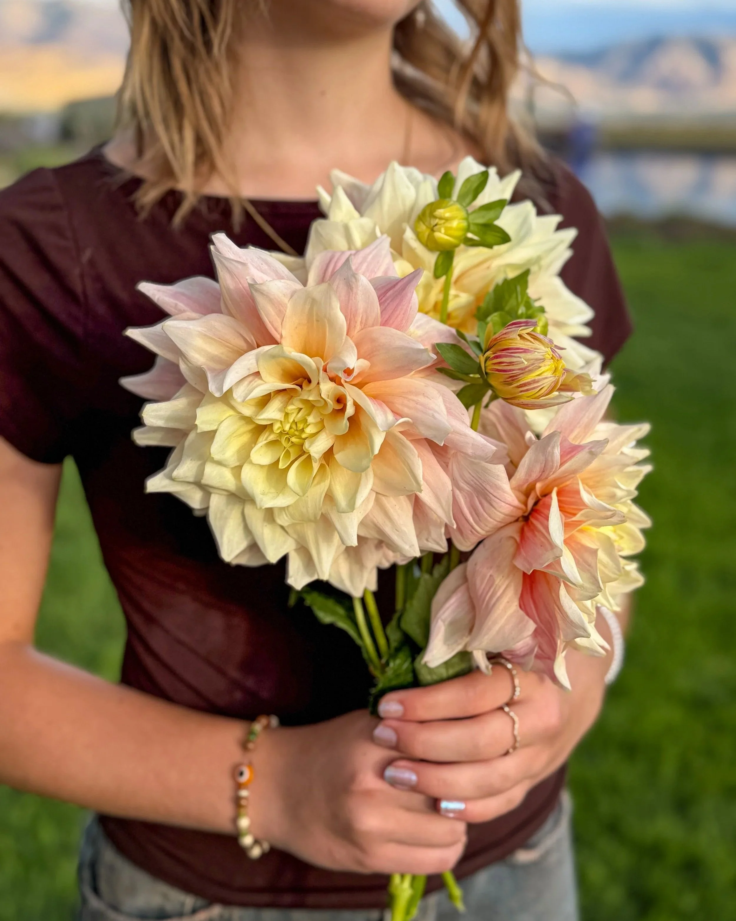 Dahlia Tuber: Break Out