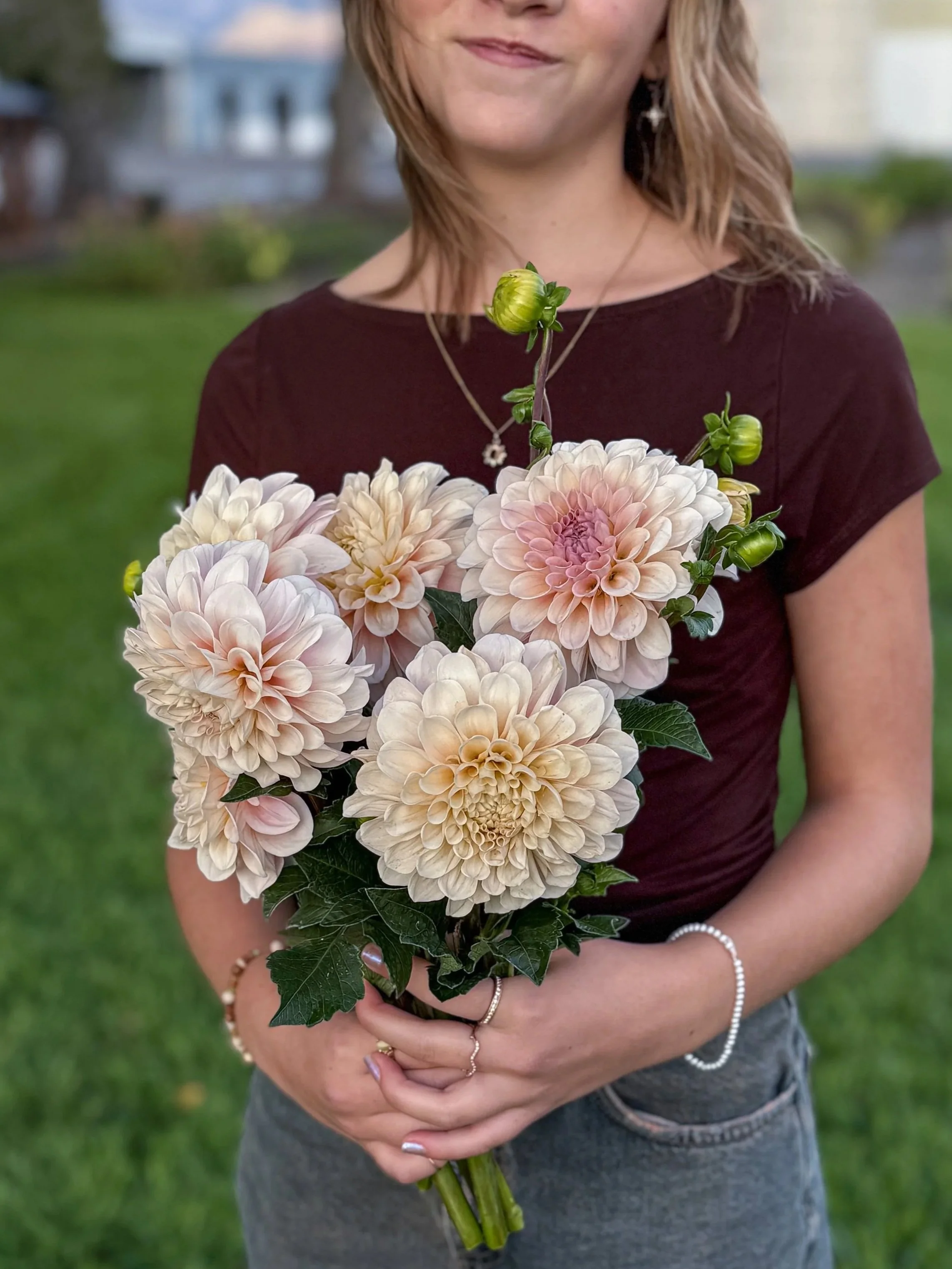 Dahlia Tuber: Sweet Nathalie