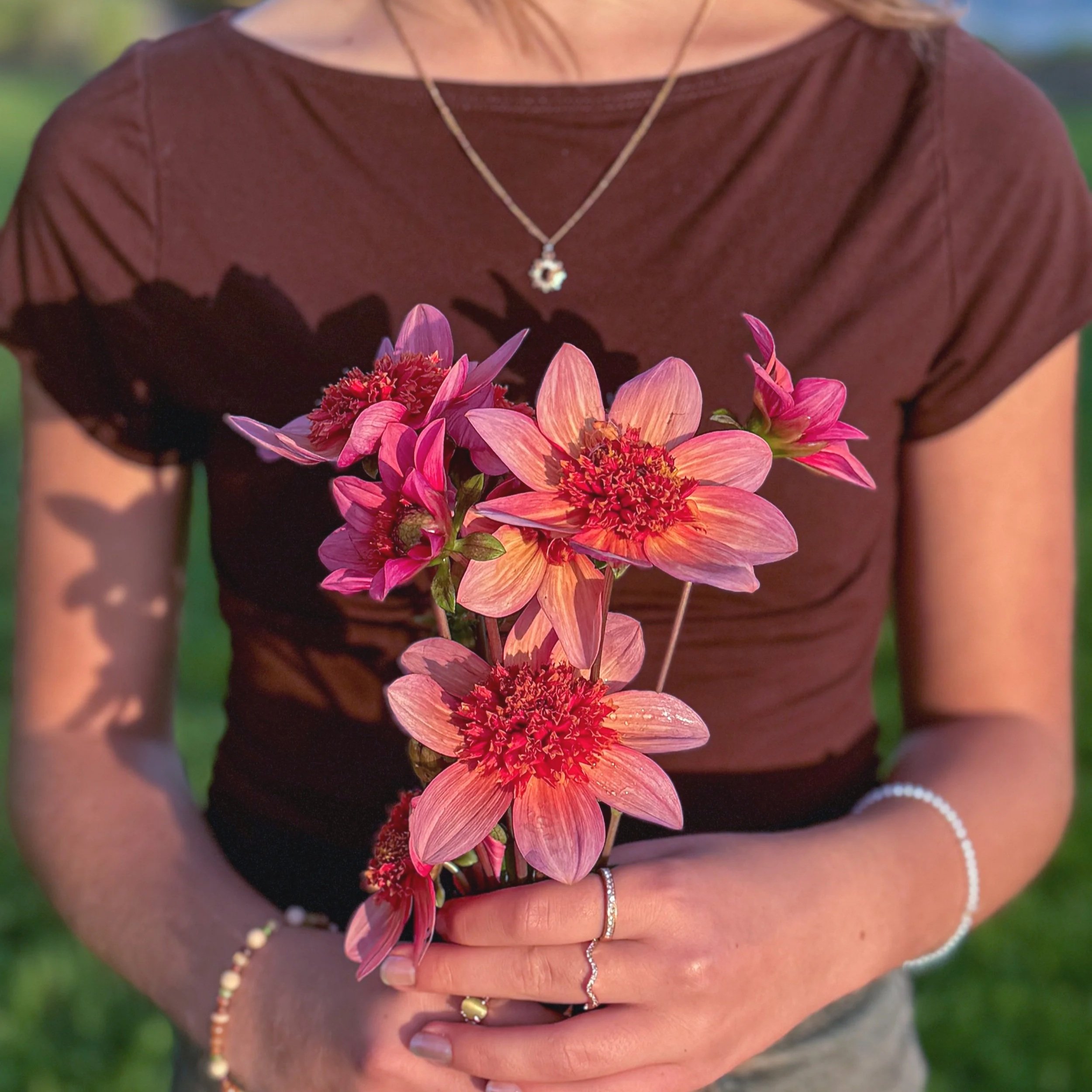 Dahlia Tuber: Totally Tangerine