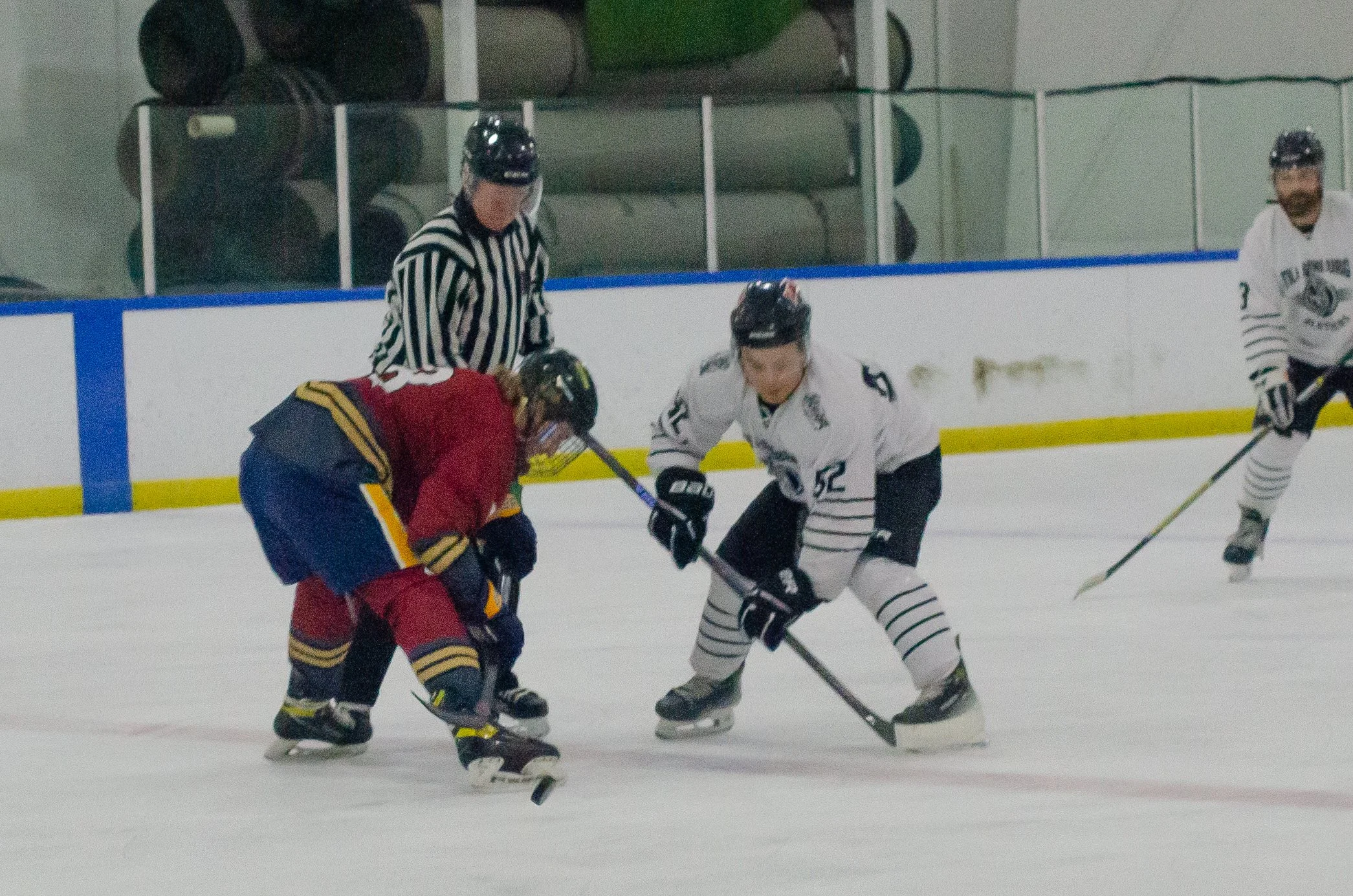 DSC_4831.jpg
