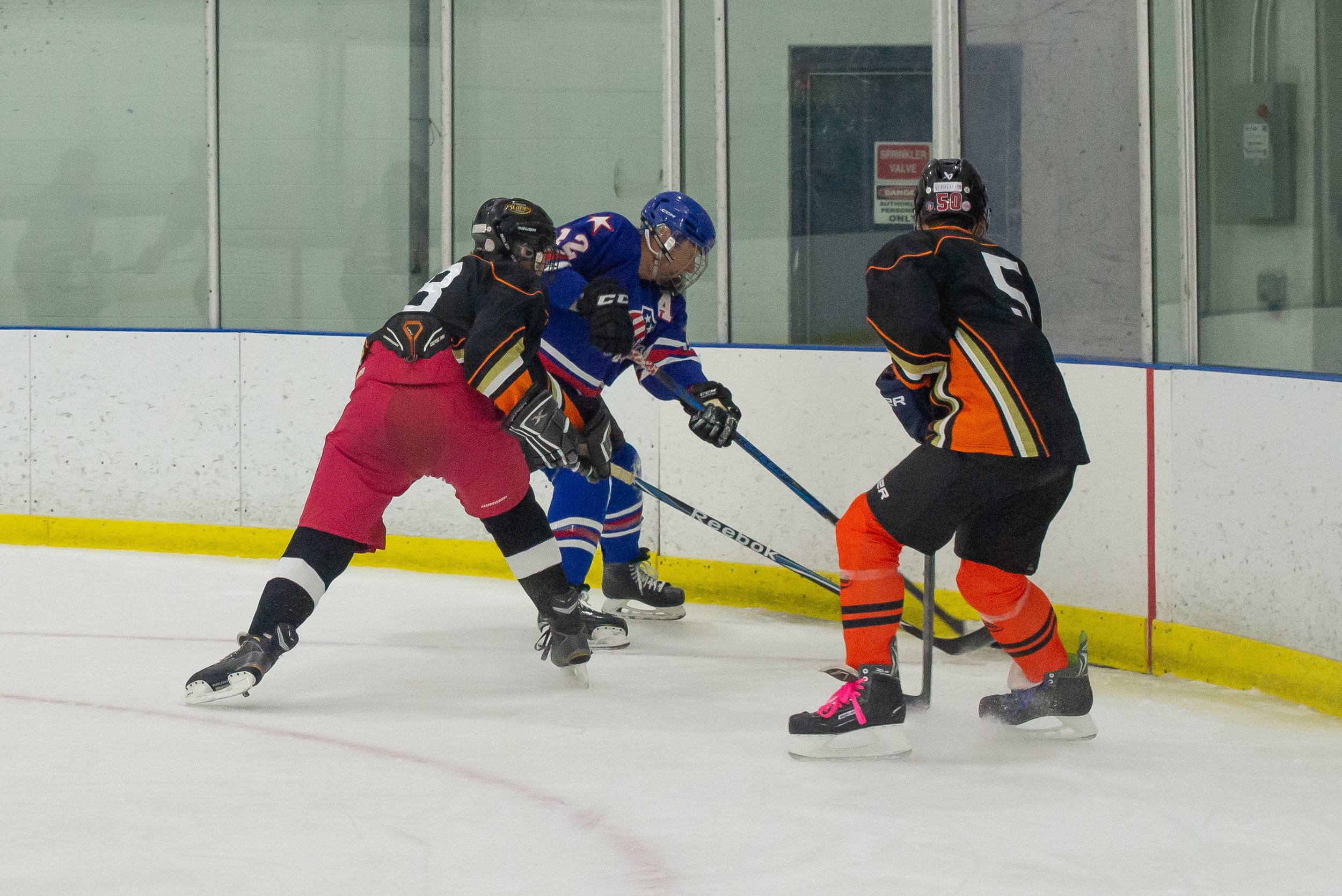 DSC_5790.jpg