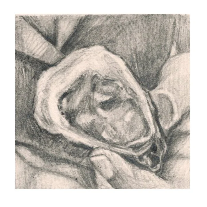 Oyster.jpg