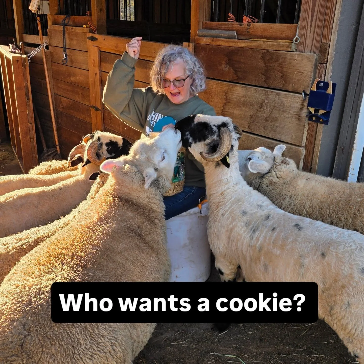 When the ladies hear you shake the cookie jar
