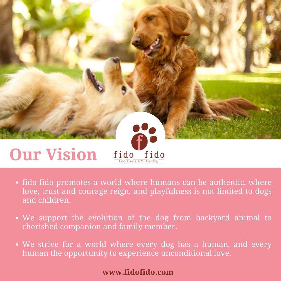 Unleash the joy in your dog&rsquo;s life!  You are not &ldquo;cookie-cutter,&rdquo; and neither is your pet. We promise to get to know the unique individuals you are and tailor your services to fit your unique needs. 

Visit us at fidofido.com to lea