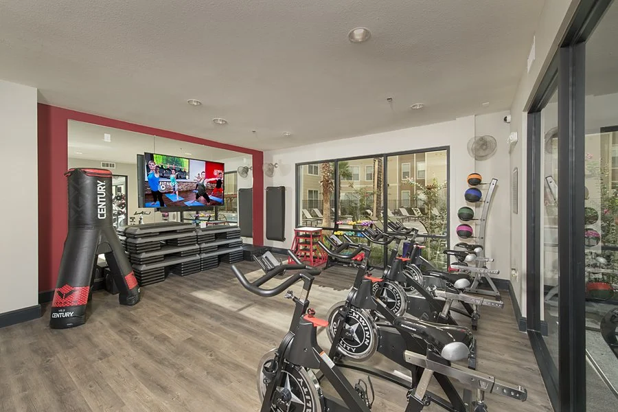 Fitness 3 lo-res.jpg