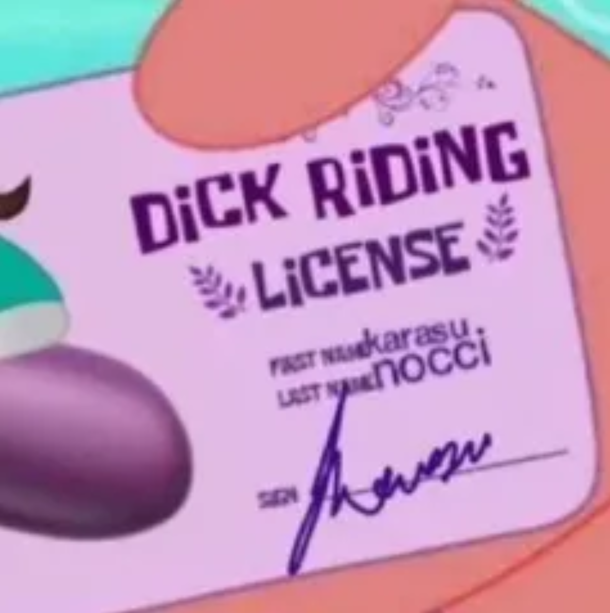 P13.png