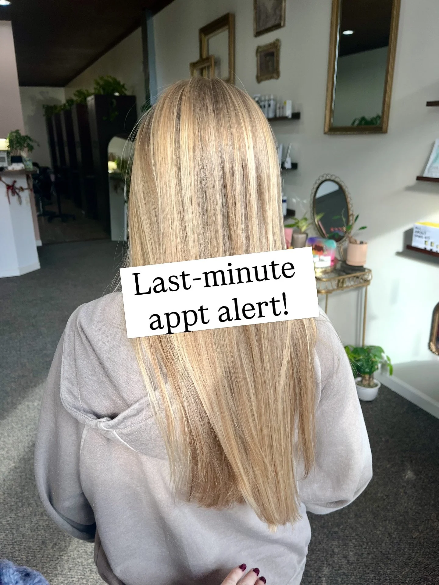 🍀 Hop on this last-minute availability for tomorrow 🍀Tuesday 3/17 at 12 with Michelle. She can fit in a cut, root touch-up, or partial foil. Book online at BleesSalon.com or call/text 518-585-2557 to grab! 
@michellerhogan