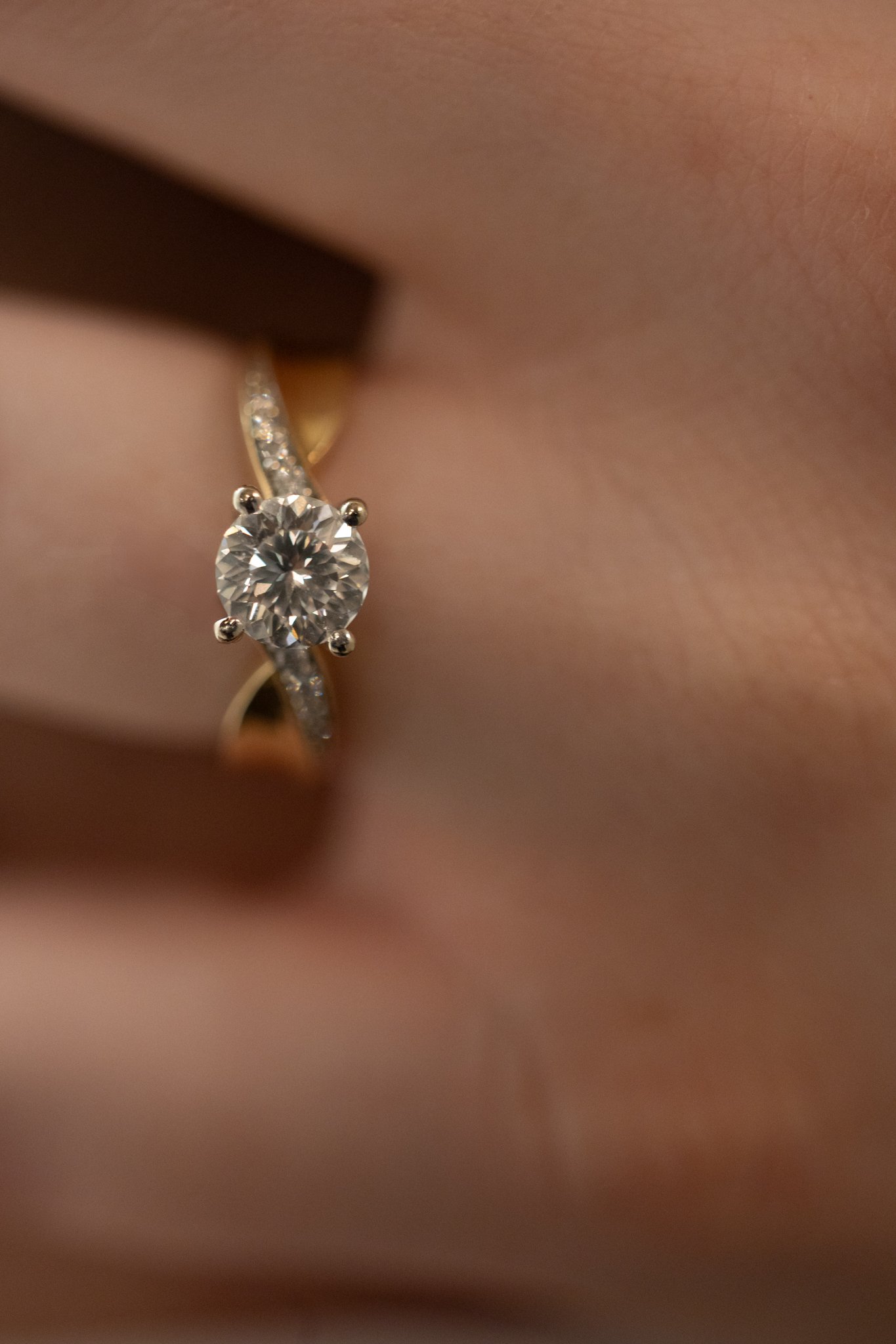 Adele + Michael Engagement Session-26.jpg