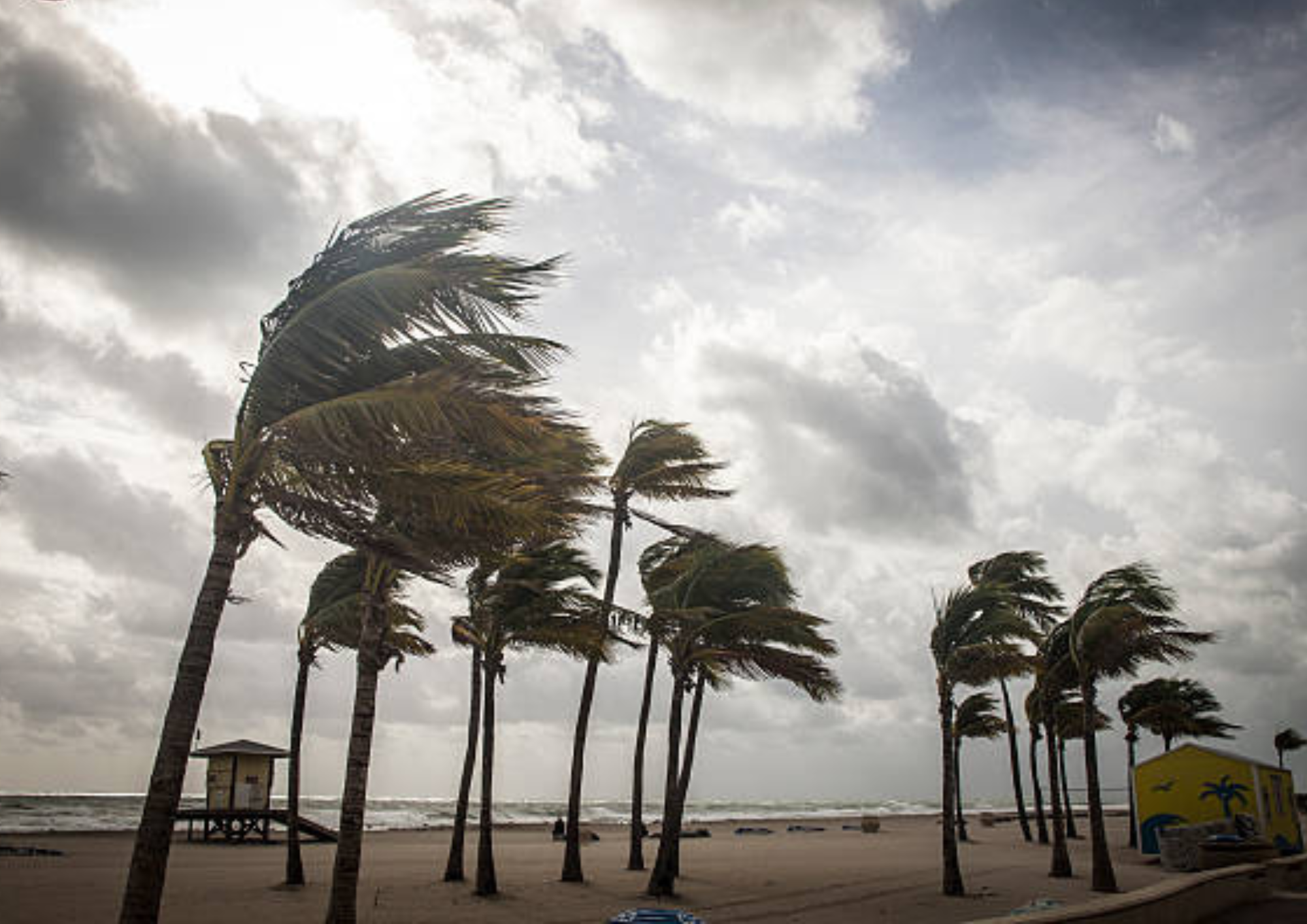 FloridaWeatherFlashcards (1).png