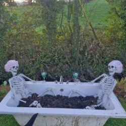 Dying for a bath_2025