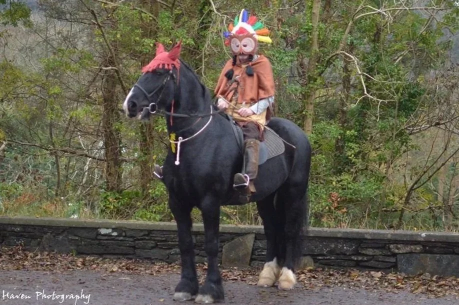 A man about a horse_2018