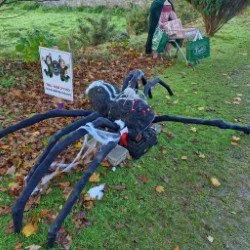 Spider_2025