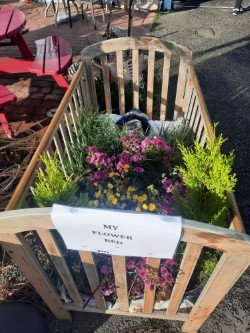 My flower Bed_2024