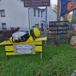 Bee have_2025