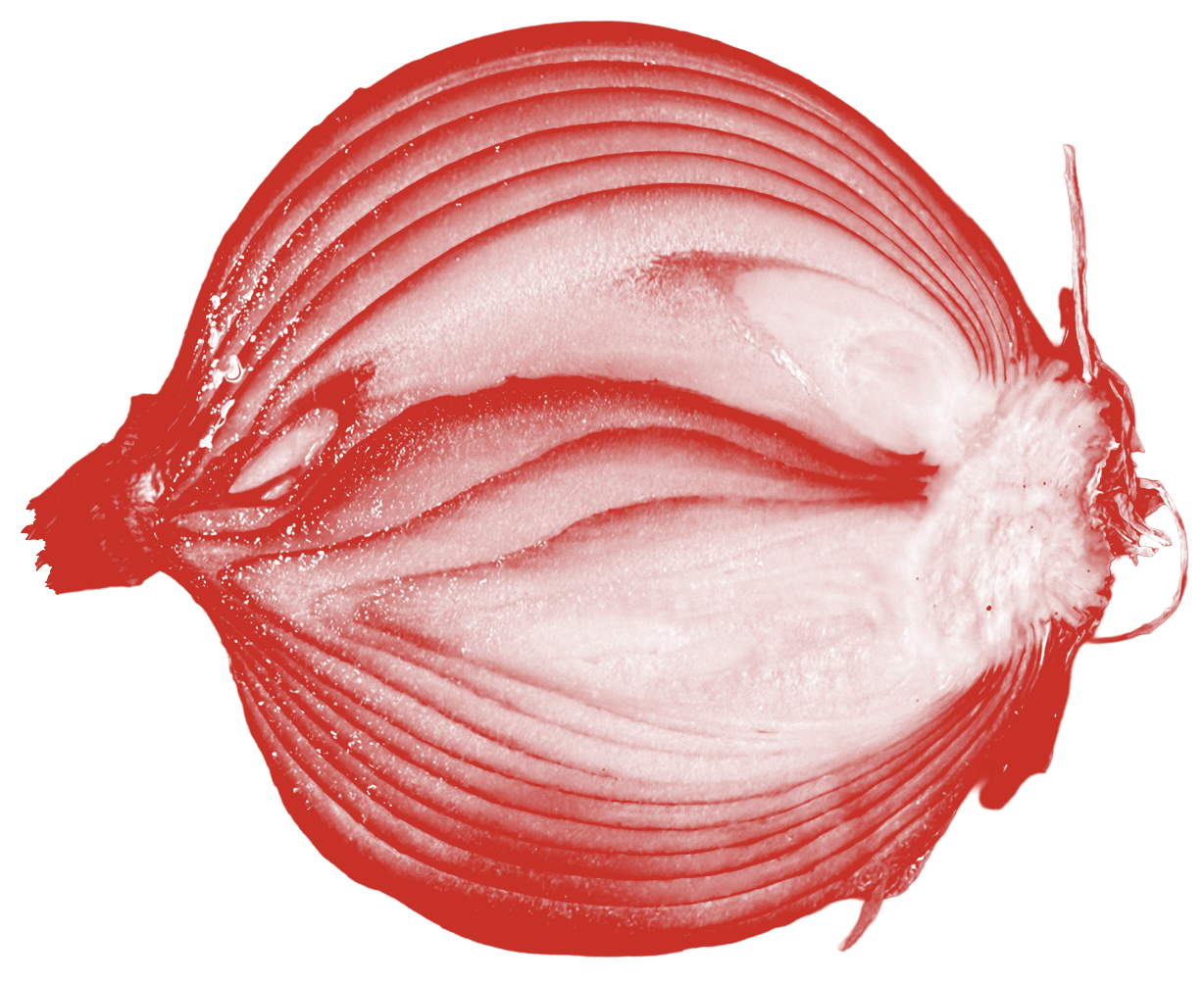 Onion cut in half and tinted red
