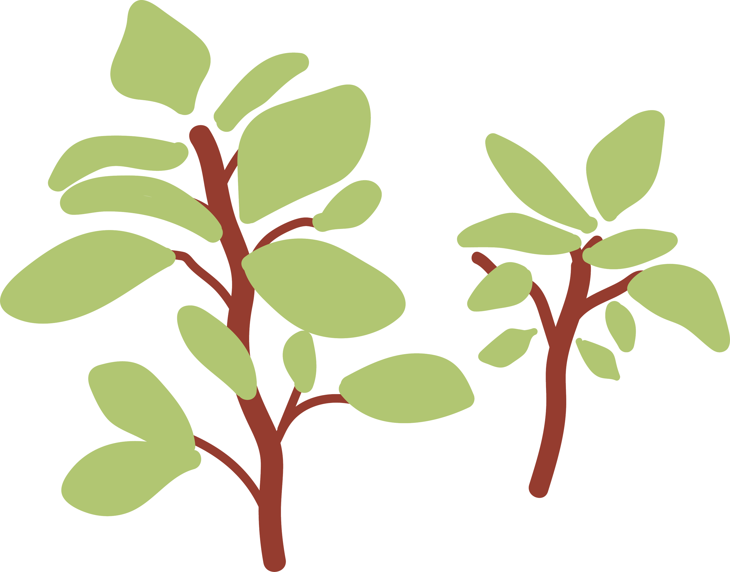 Illustration of Amaranth plants