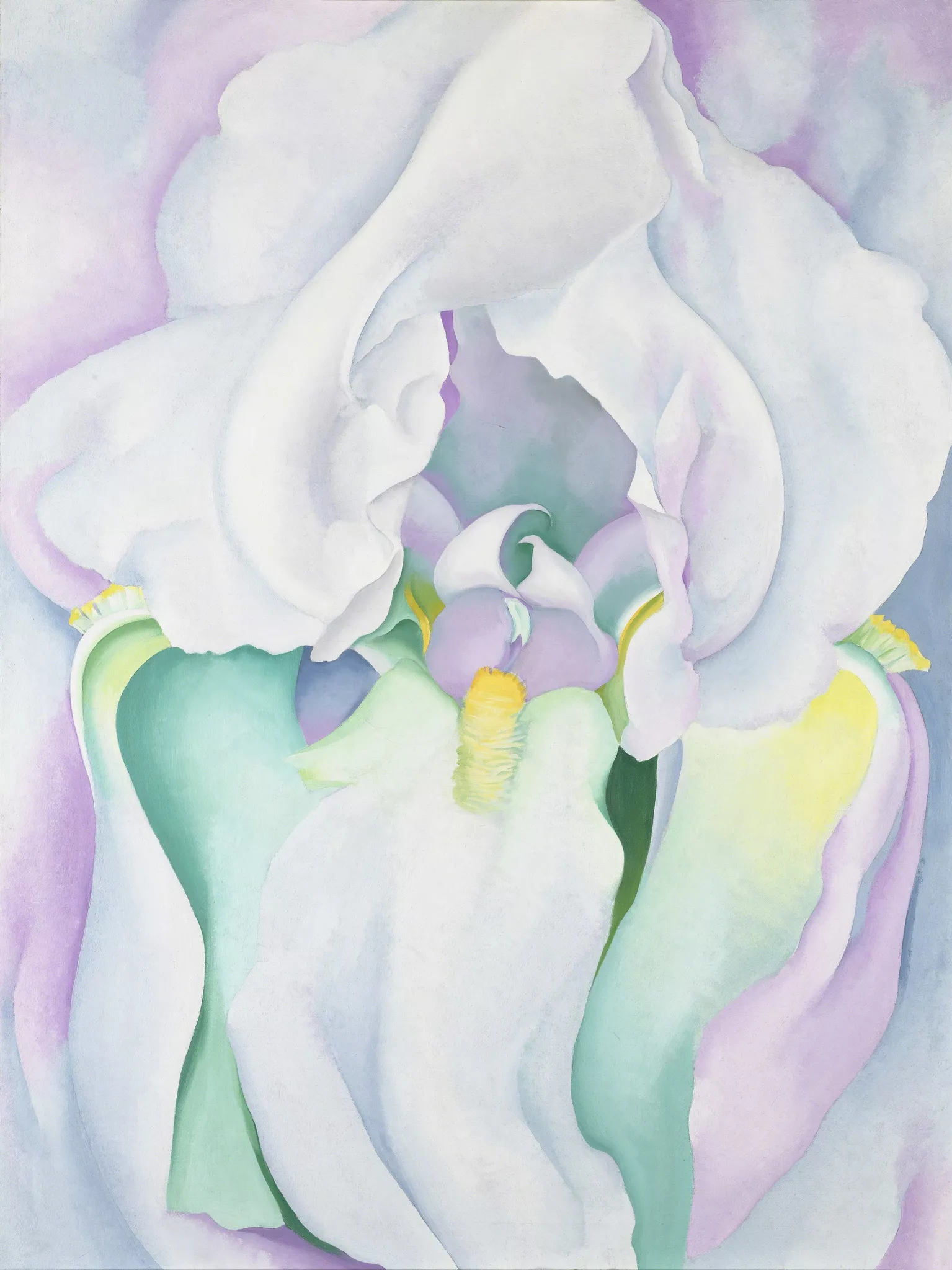 white iris.png