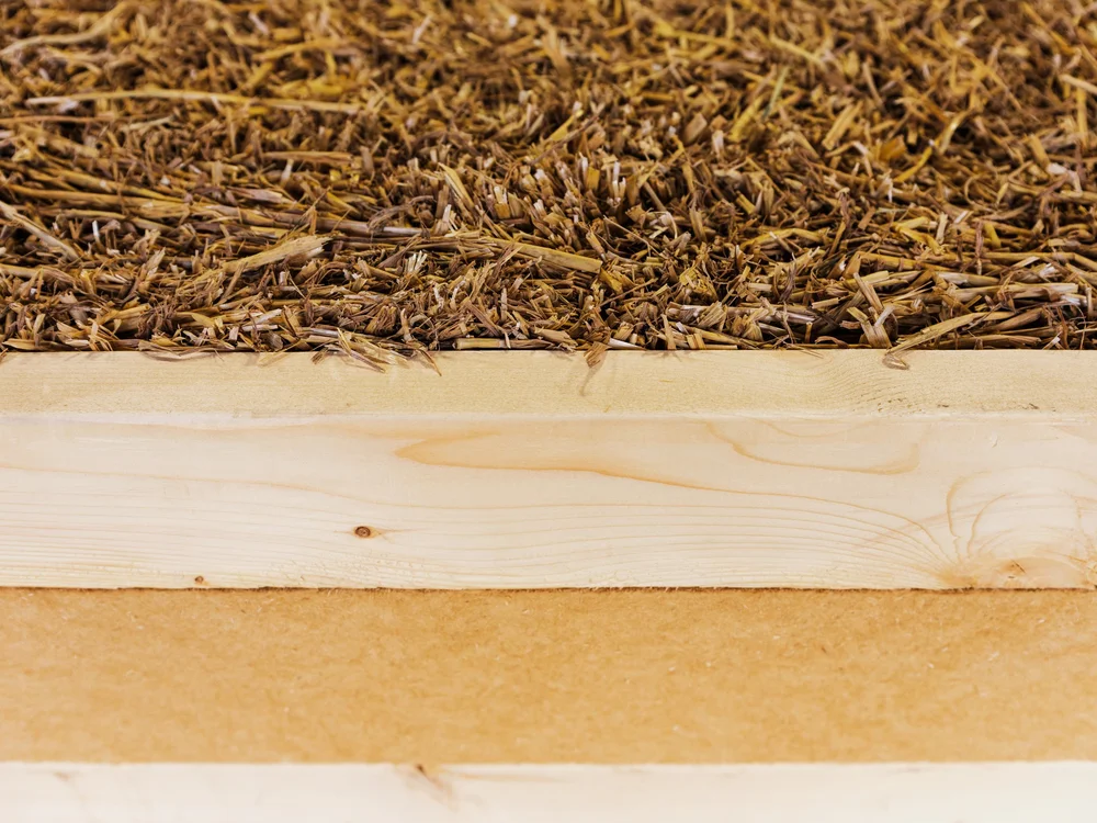 Panels new frameworks