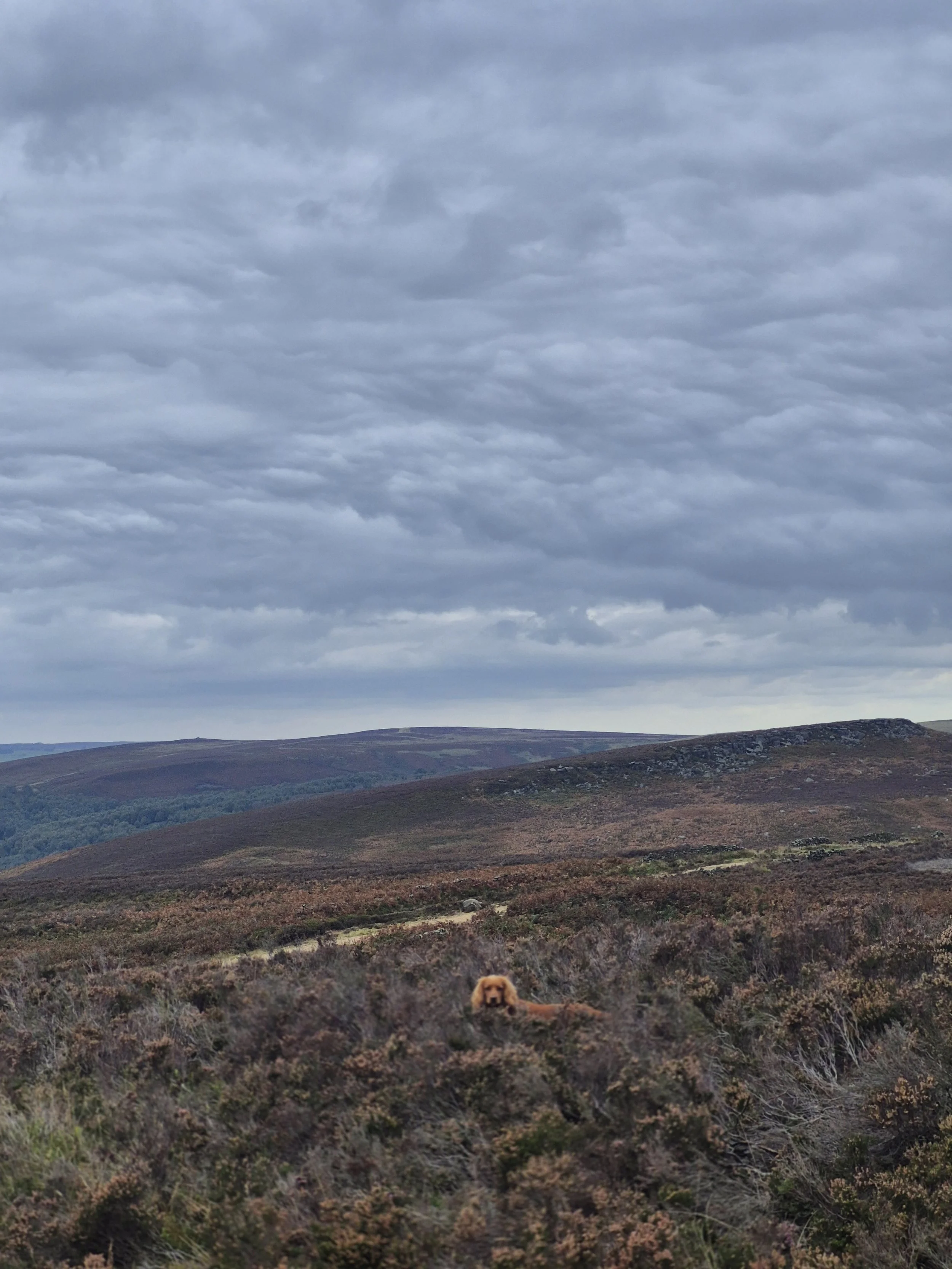 Peak District 75 (3).jpg