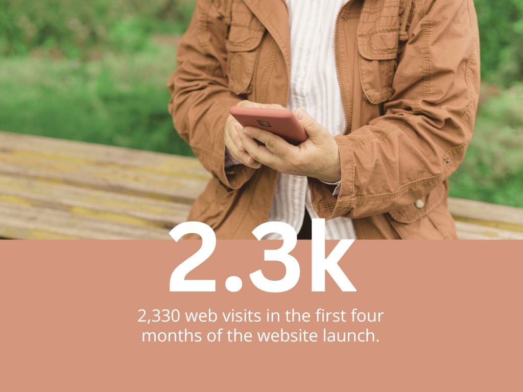 Yetholm Show Web Stats.jpg