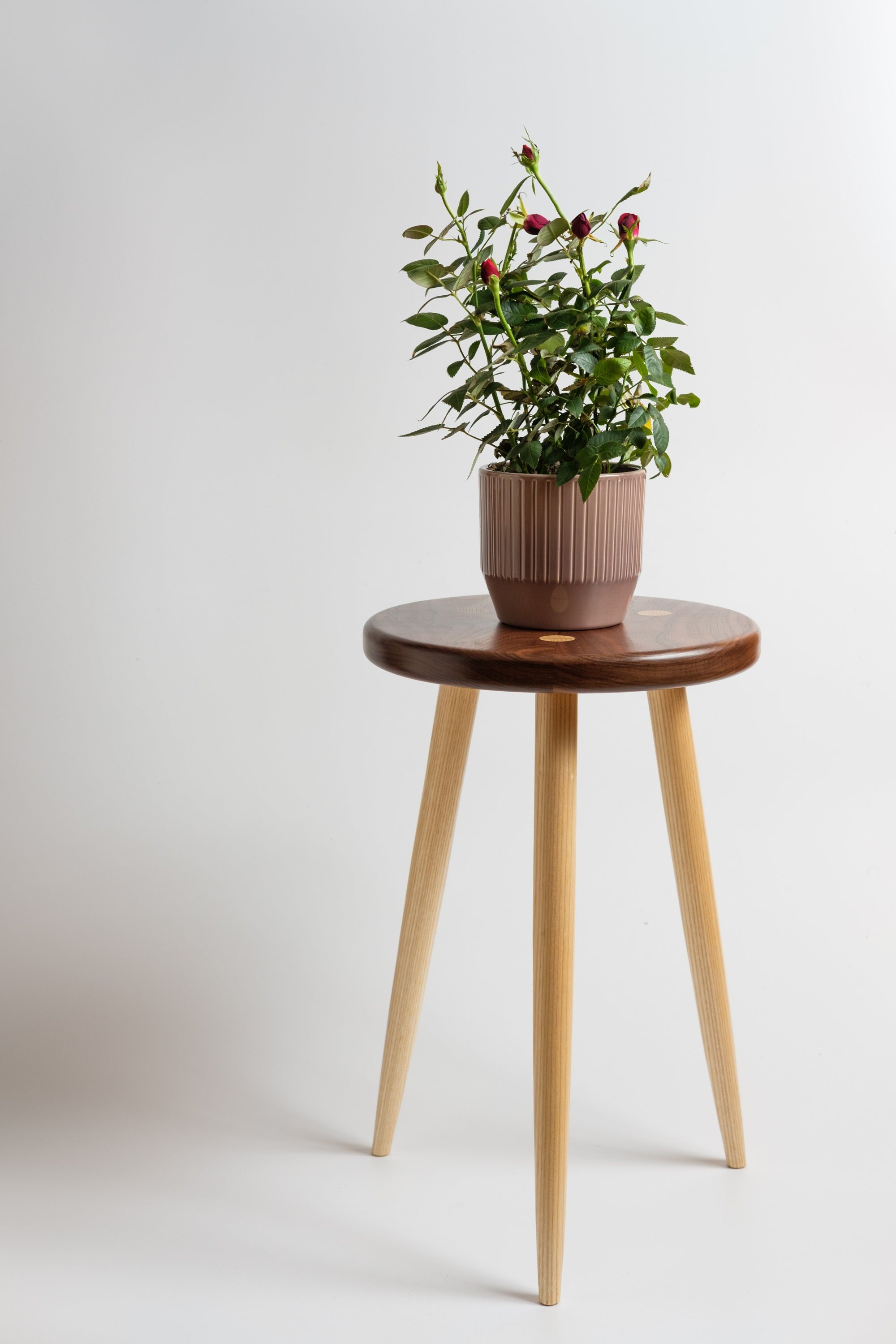 https://i.etsystatic.com/15897722/r/il/2fd332/2960341672/il_fullxfull.2960341672_nt1f.jpg