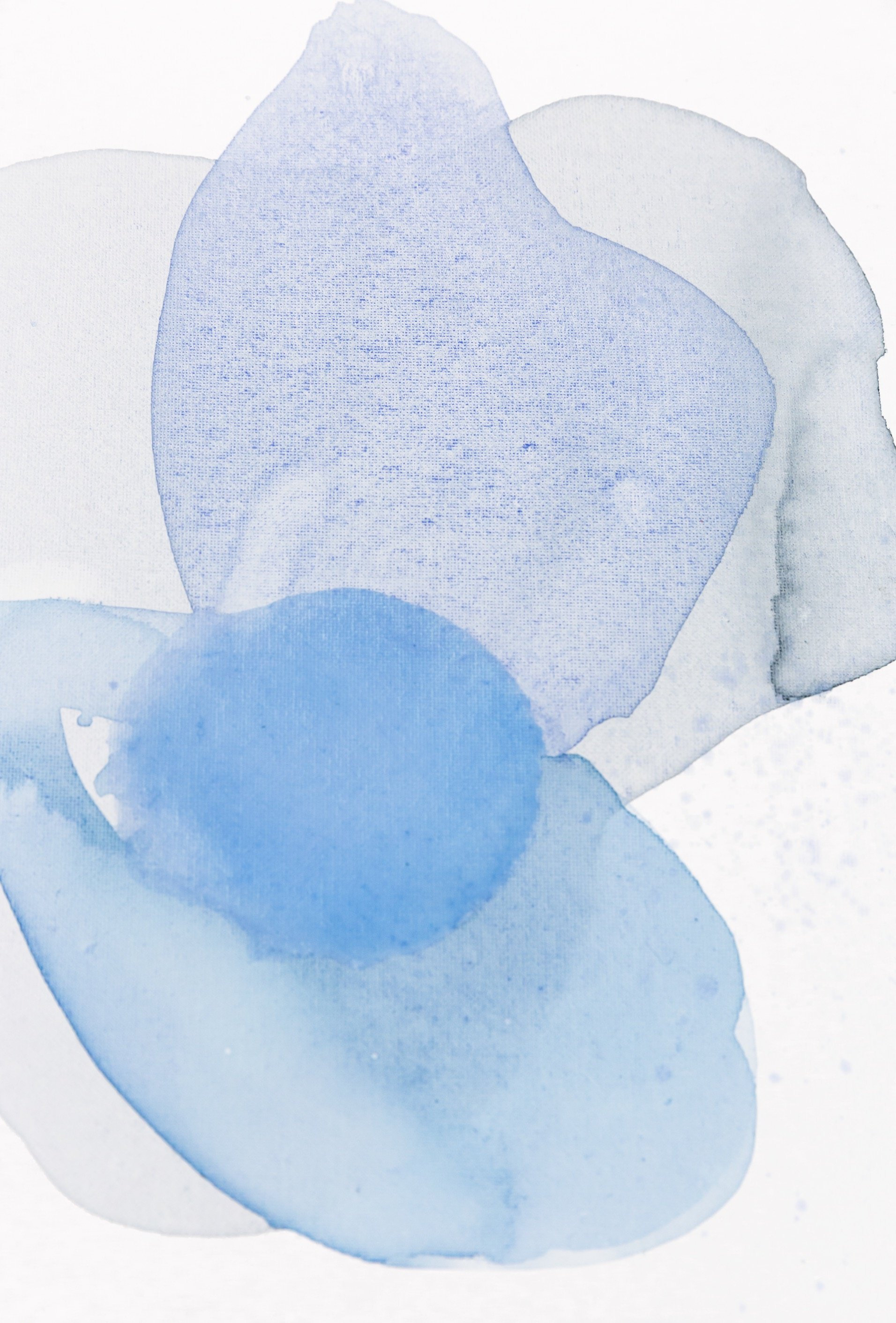 blue study web.jpg